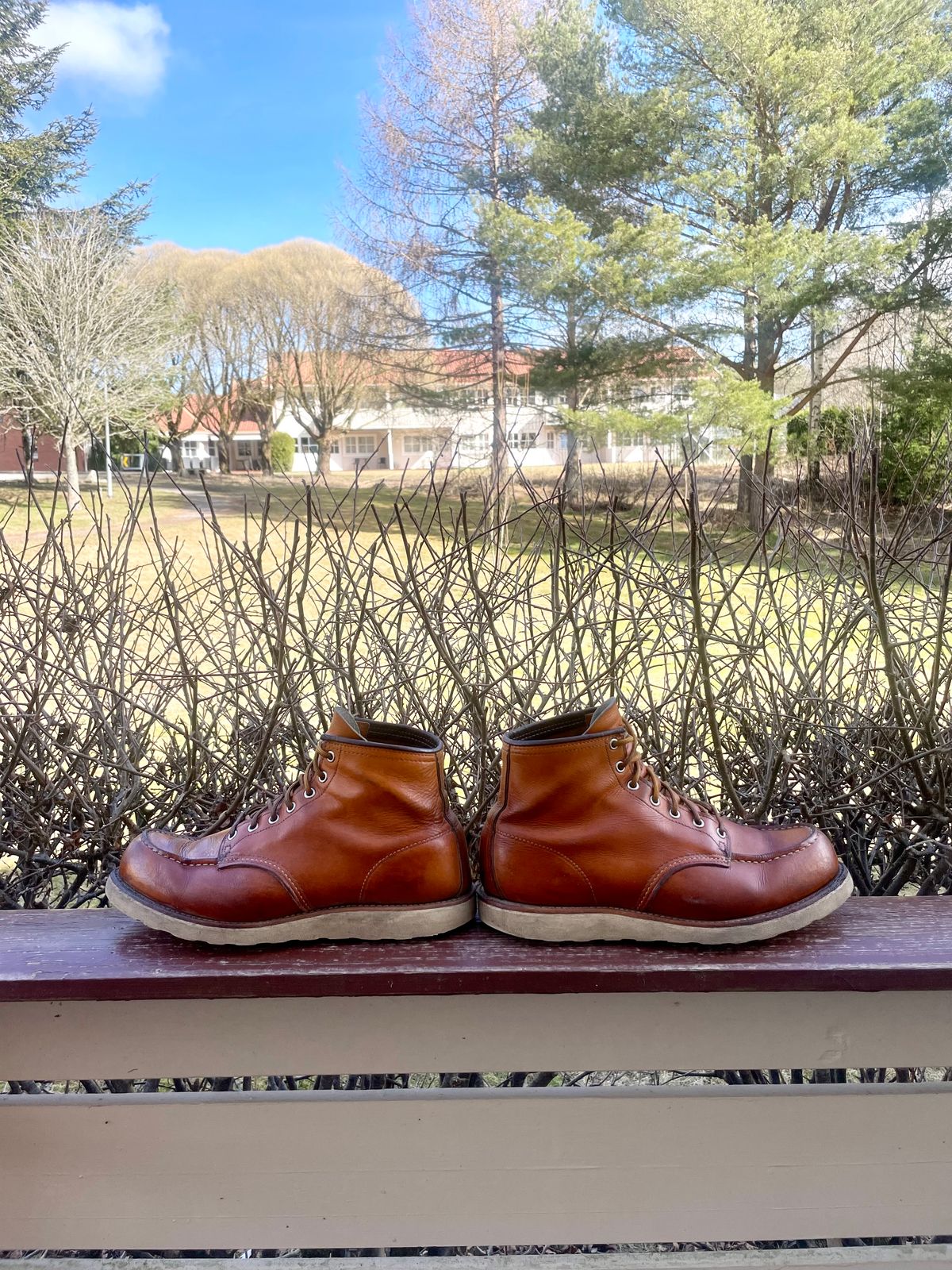 Photo by surcos on April 1, 2024 of the Irish Setter 6-Inch Classic Moc in Gold Russet Sequoia.