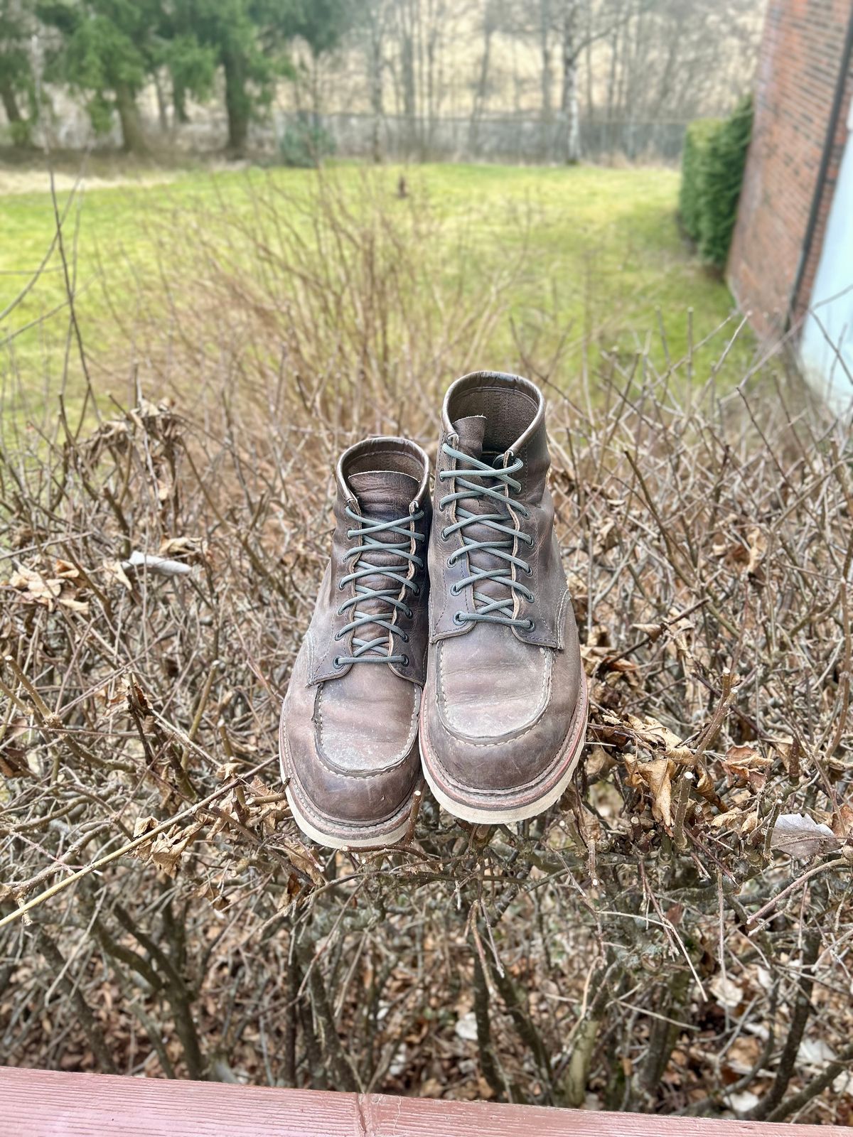 Photo by surcos on March 5, 2025 of the Red Wing 8883 in Concrete Rough & Tough leather.
