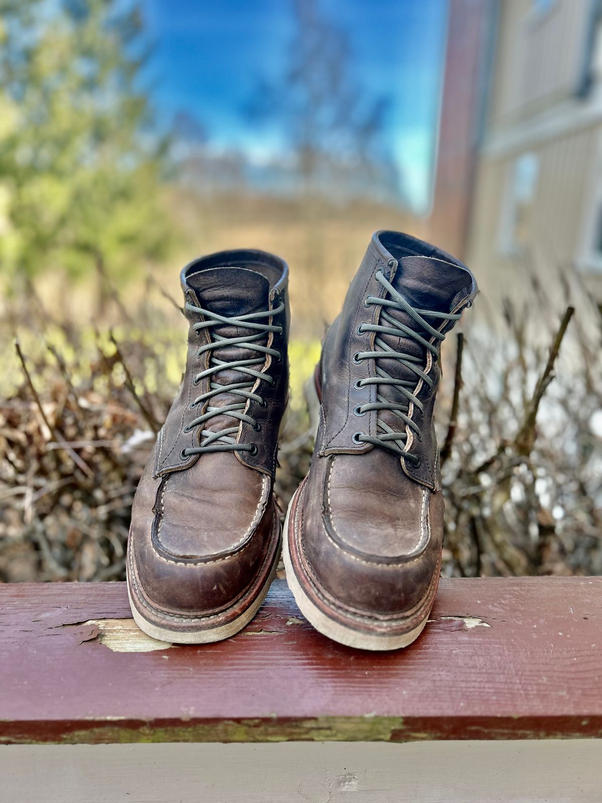 Thumbnail of review: Overall great experience.
