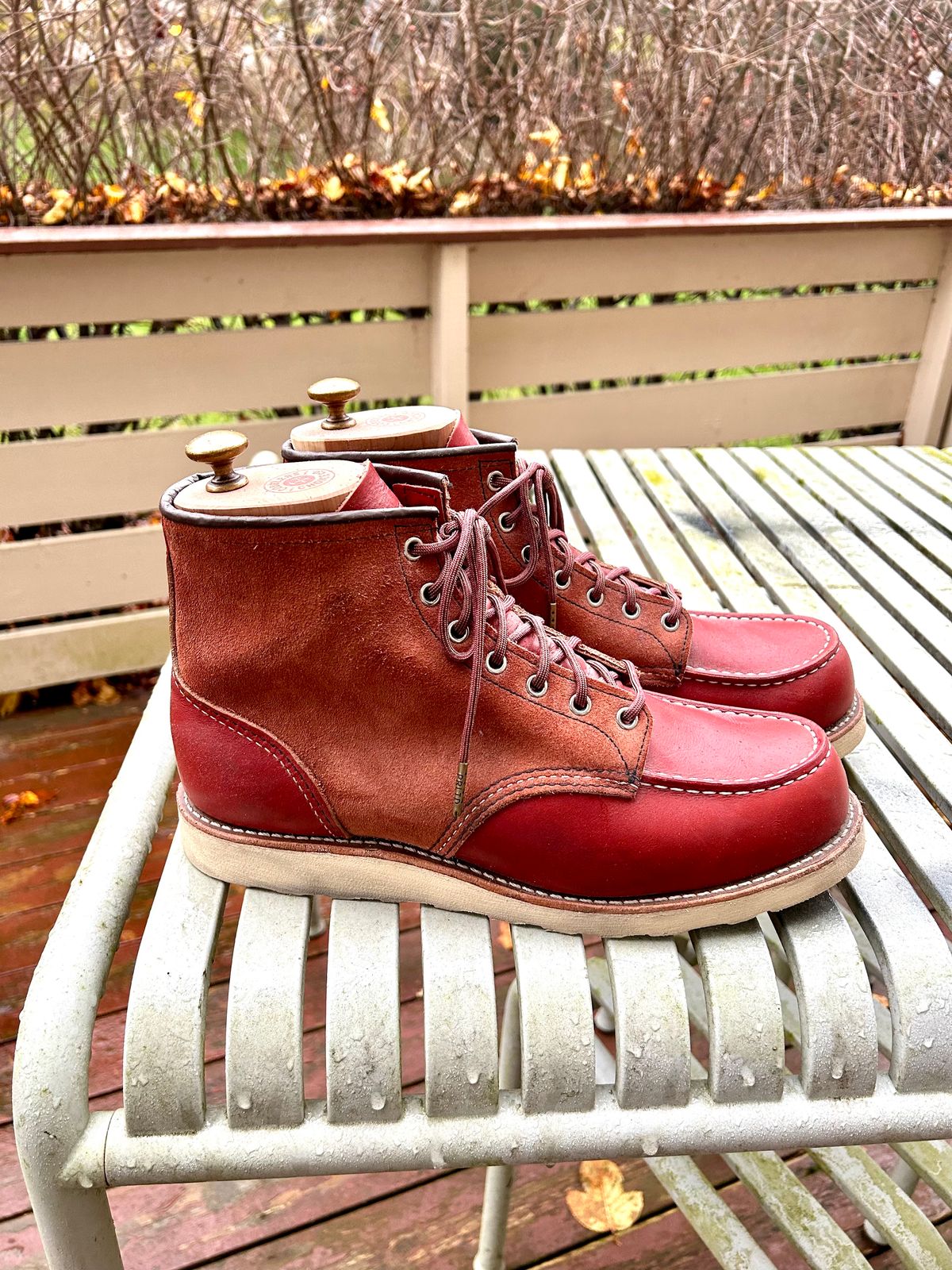Photo by surcos on November 1, 2025 of the Red Wing 6-Inch Classic Moc in S.B. Foot Oro-Russet Portage & S.B. Foot Oro-Russet Abilene.