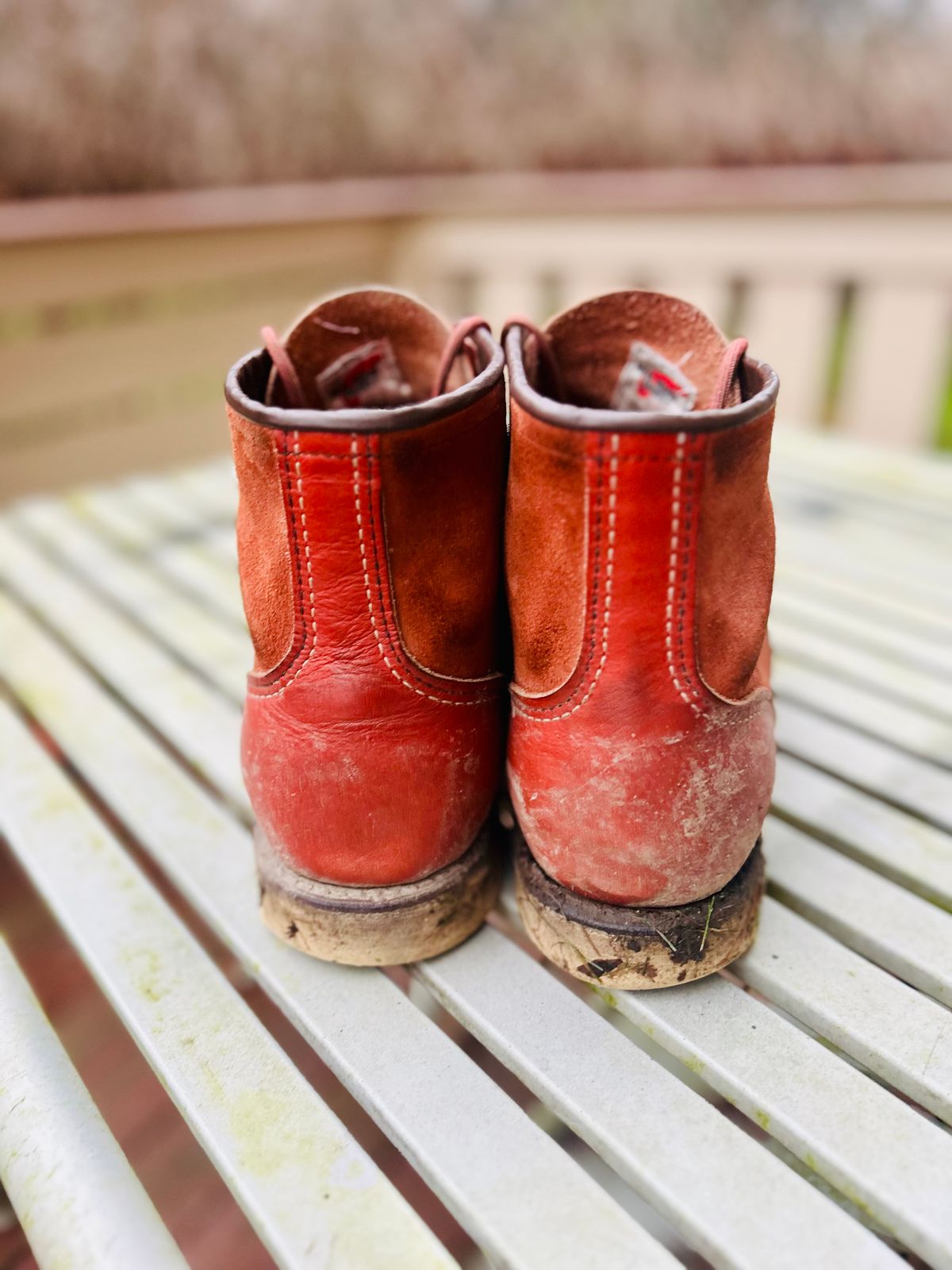 Photo by surcos on December 3, 2025 of the Red Wing 6-Inch Classic Moc in S.B. Foot Oro-Russet Portage & S.B. Foot Oro-Russet Abilene.