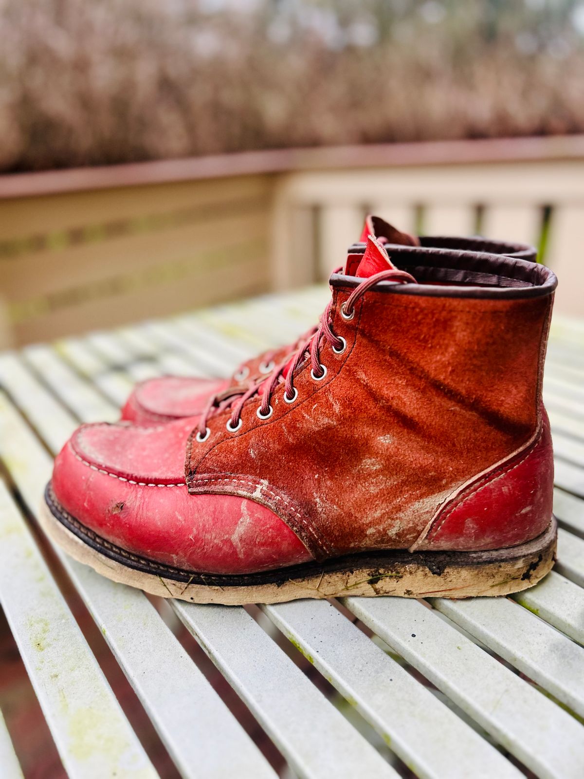 Photo by surcos on December 3, 2025 of the Red Wing 6-Inch Classic Moc in S.B. Foot Oro-Russet Portage & S.B. Foot Oro-Russet Abilene.