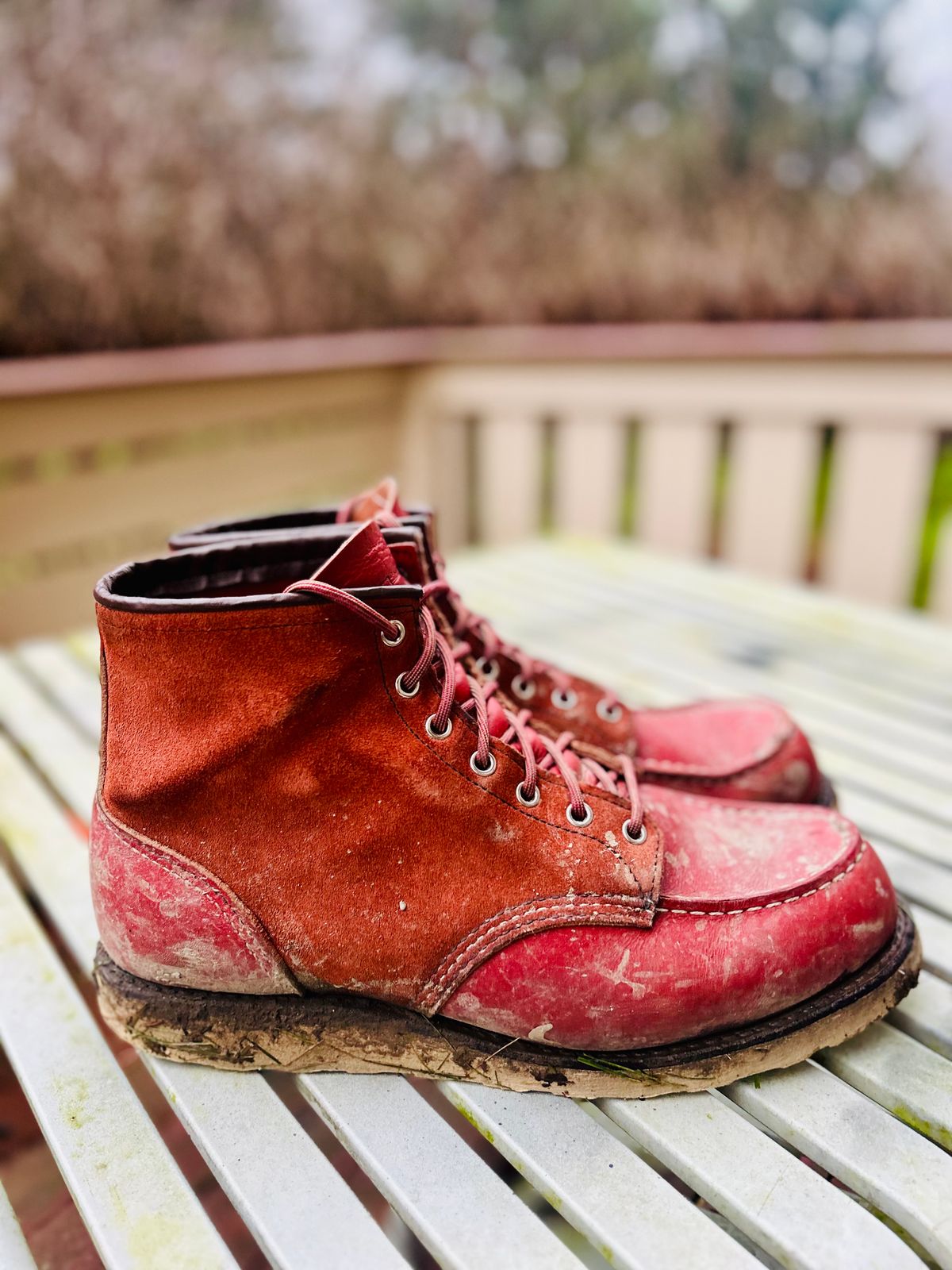 Photo by surcos on December 3, 2025 of the Red Wing 6-Inch Classic Moc in S.B. Foot Oro-Russet Portage & S.B. Foot Oro-Russet Abilene.