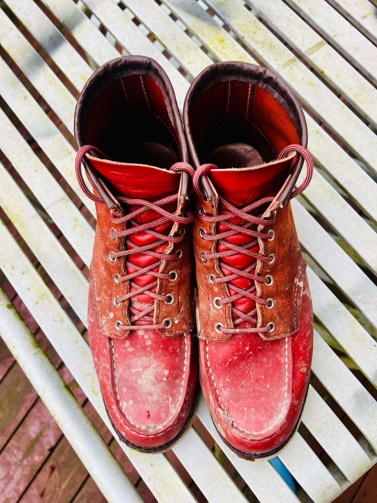 Photo by surcos on December 3, 2025 of the Red Wing 6-Inch Classic Moc in S.B. Foot Oro-Russet Portage & S.B. Foot Oro-Russet Abilene.
