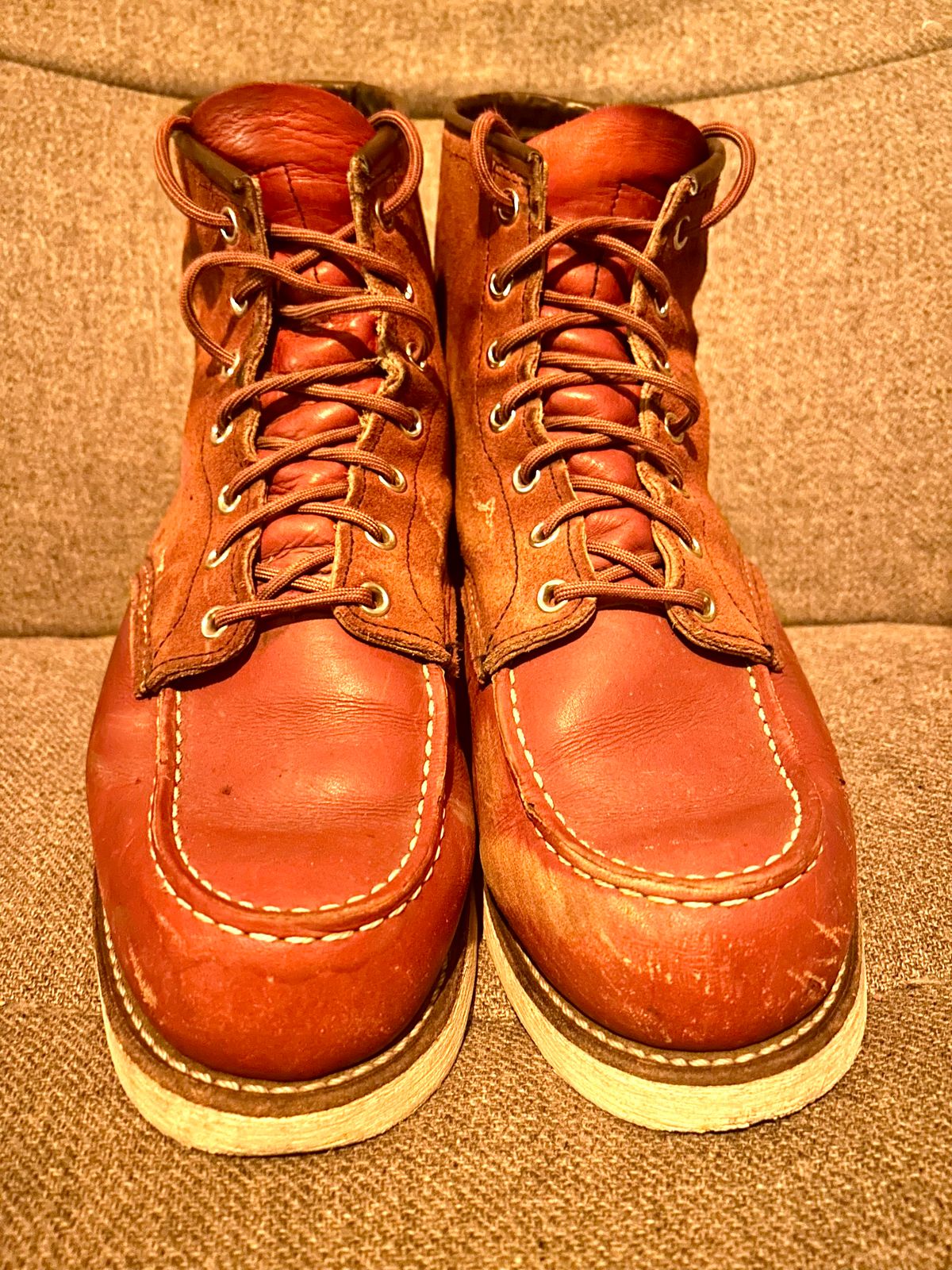 Photo by surcos on February 5, 2026 of the Red Wing 6-Inch Classic Moc in S.B. Foot Oro-Russet Portage & S.B. Foot Oro-Russet Abilene.