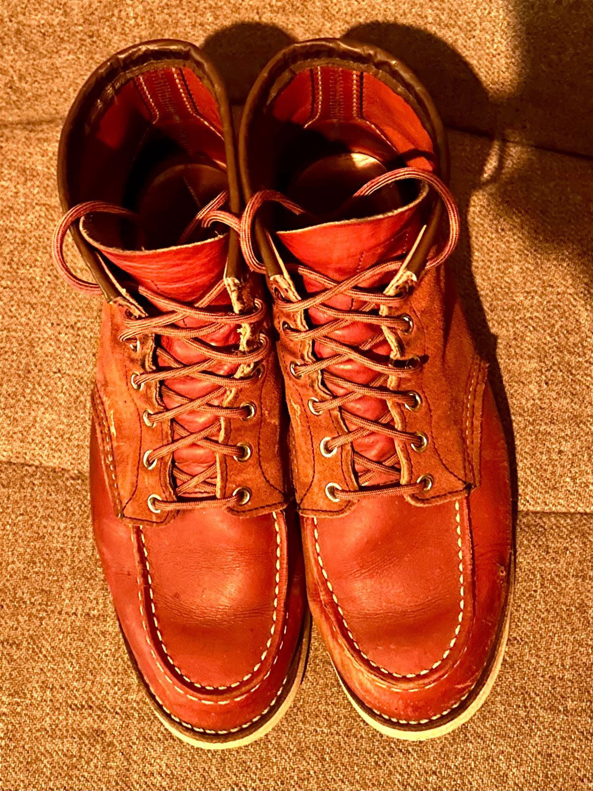 Photo by surcos on February 5, 2026 of the Red Wing 6-Inch Classic Moc in S.B. Foot Oro-Russet Portage & S.B. Foot Oro-Russet Abilene.