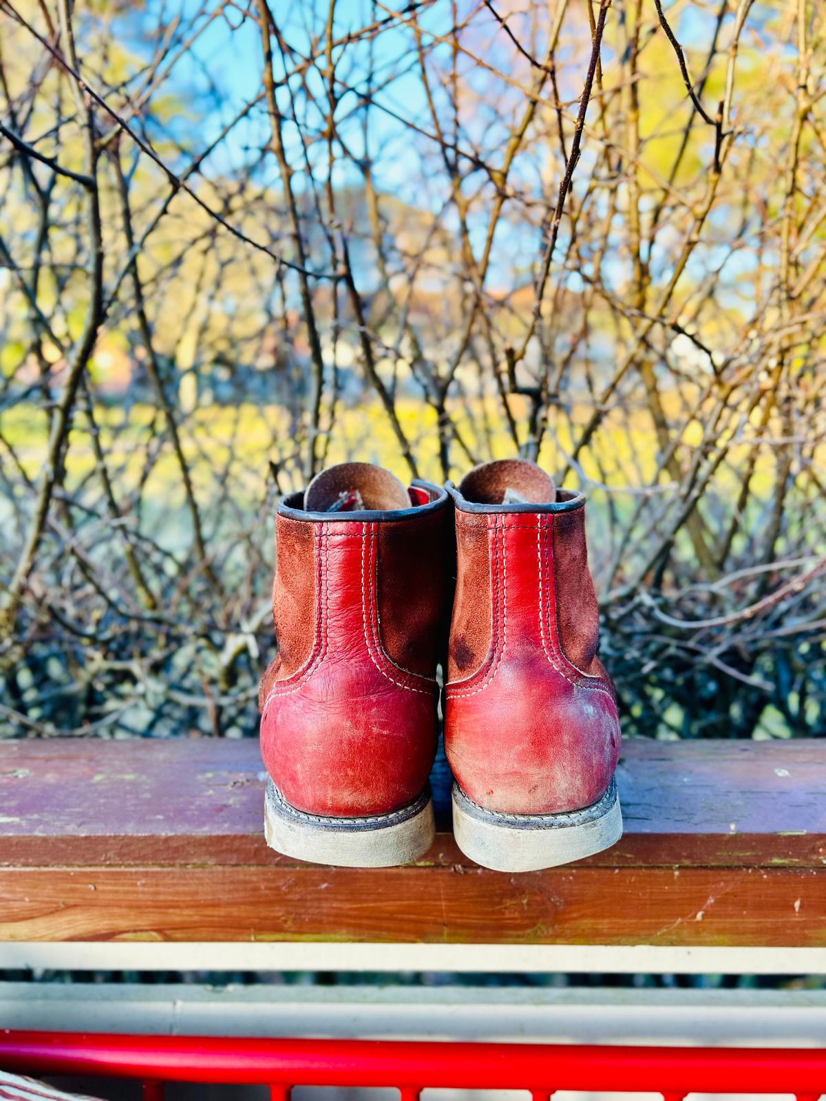 Photo by surcos on April 4, 2026 of the Red Wing 6-Inch Classic Moc in S.B. Foot Oro-Russet Portage & S.B. Foot Oro-Russet Abilene.