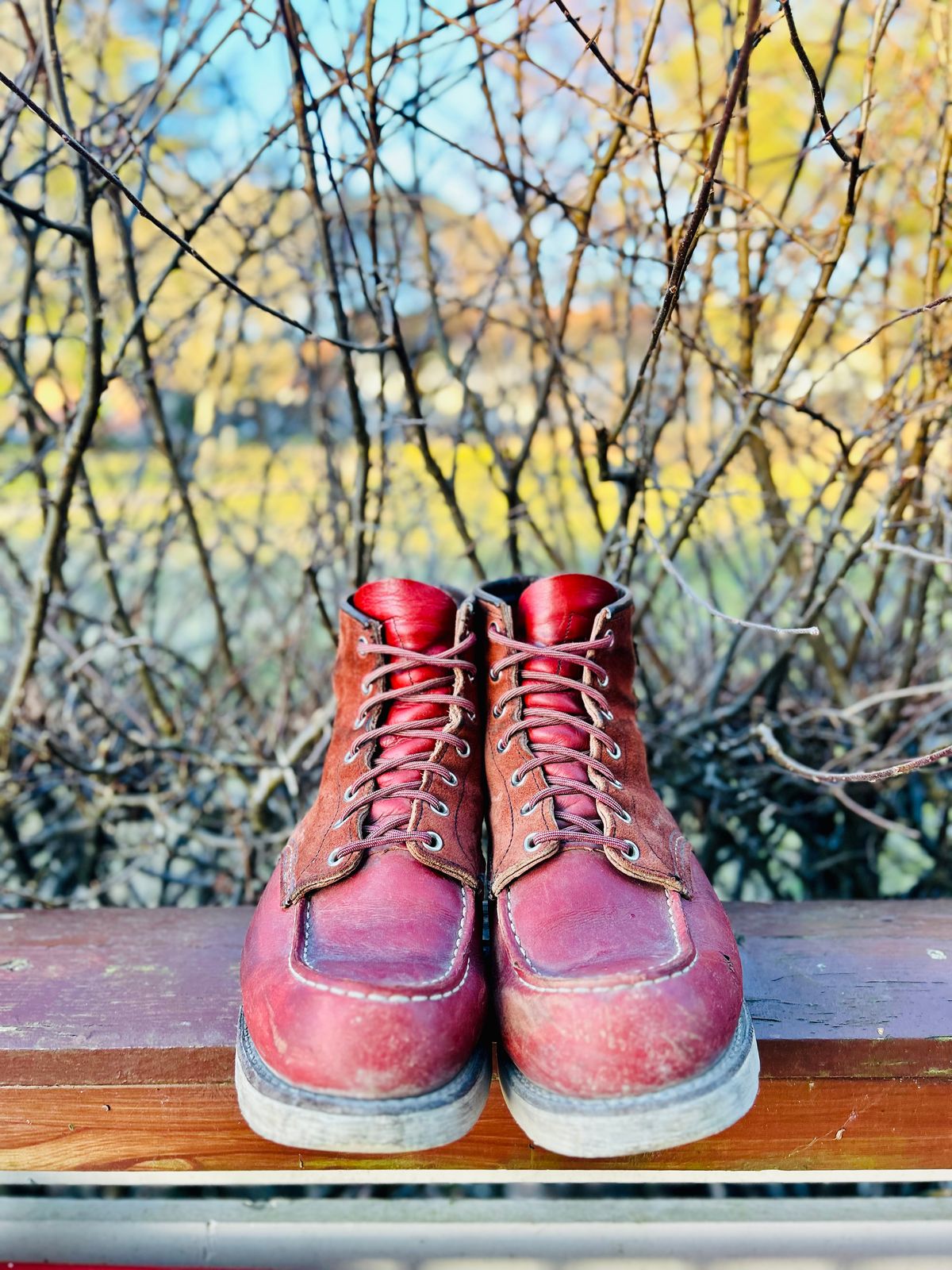 Photo by surcos on April 4, 2026 of the Red Wing 6-Inch Classic Moc in S.B. Foot Oro-Russet Portage & S.B. Foot Oro-Russet Abilene.