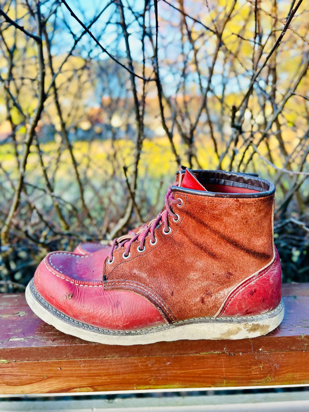 Photo by surcos on April 4, 2026 of the Red Wing 6-Inch Classic Moc in S.B. Foot Oro-Russet Portage & S.B. Foot Oro-Russet Abilene.