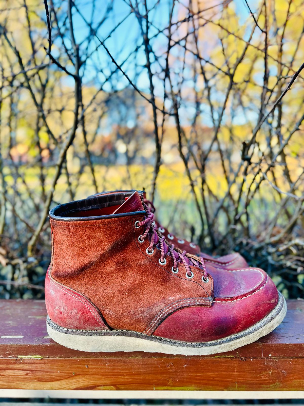 Photo by surcos on April 4, 2026 of the Red Wing 6-Inch Classic Moc in S.B. Foot Oro-Russet Portage & S.B. Foot Oro-Russet Abilene.