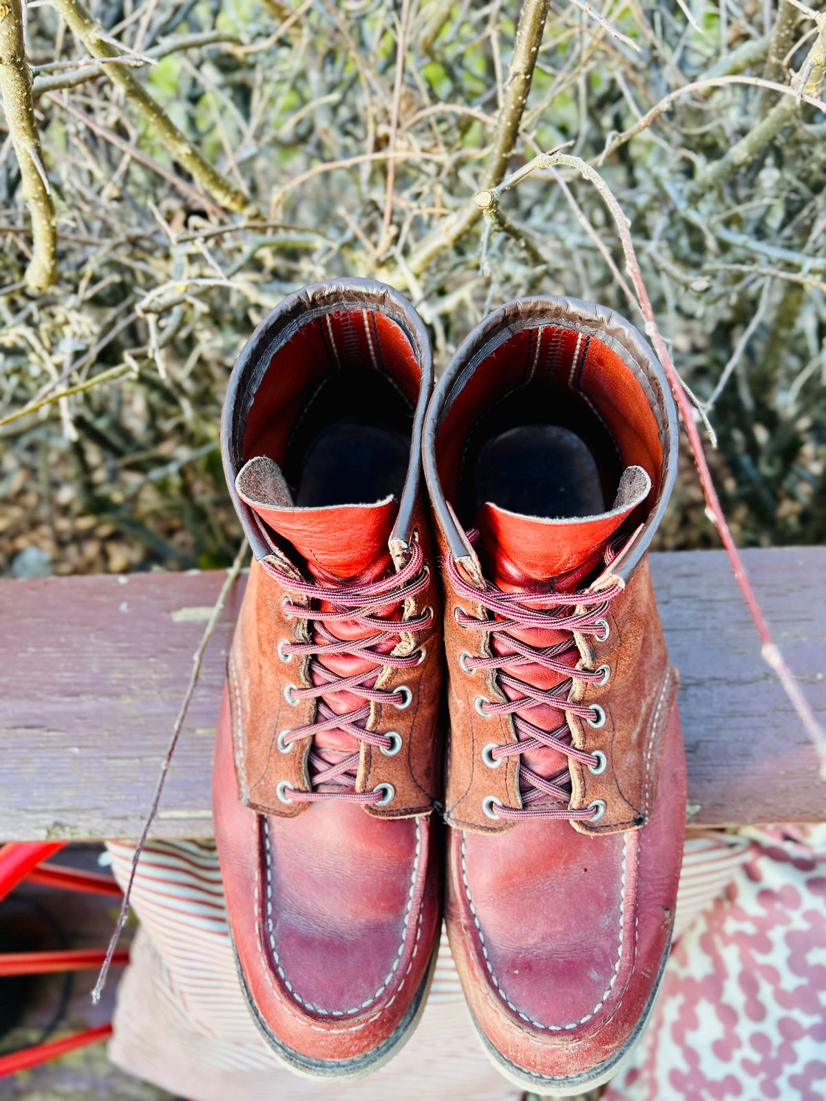 Photo by surcos on April 4, 2026 of the Red Wing 6-Inch Classic Moc in S.B. Foot Oro-Russet Portage & S.B. Foot Oro-Russet Abilene.