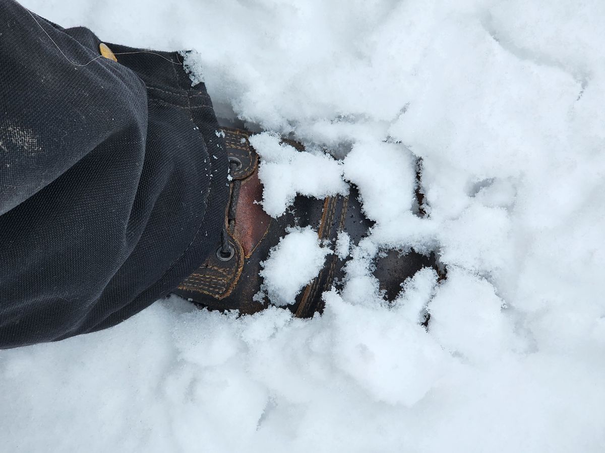 Photo by Pale_Highl1ight on January 9, 2025 of the Nicks Nicks/ x Butterscotch Triton Boot in Nicks/ Horween Black Waxed Flesh.