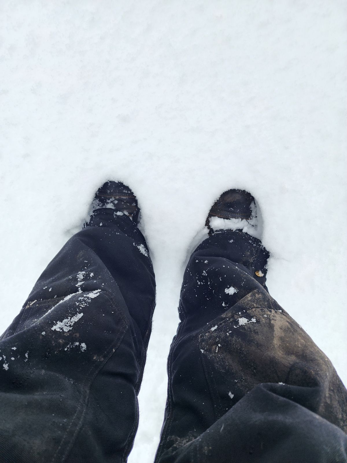 Photo by Pale_Highl1ight on January 9, 2025 of the Nicks Nicks/ x Butterscotch Triton Boot in Nicks/ Horween Black Waxed Flesh.