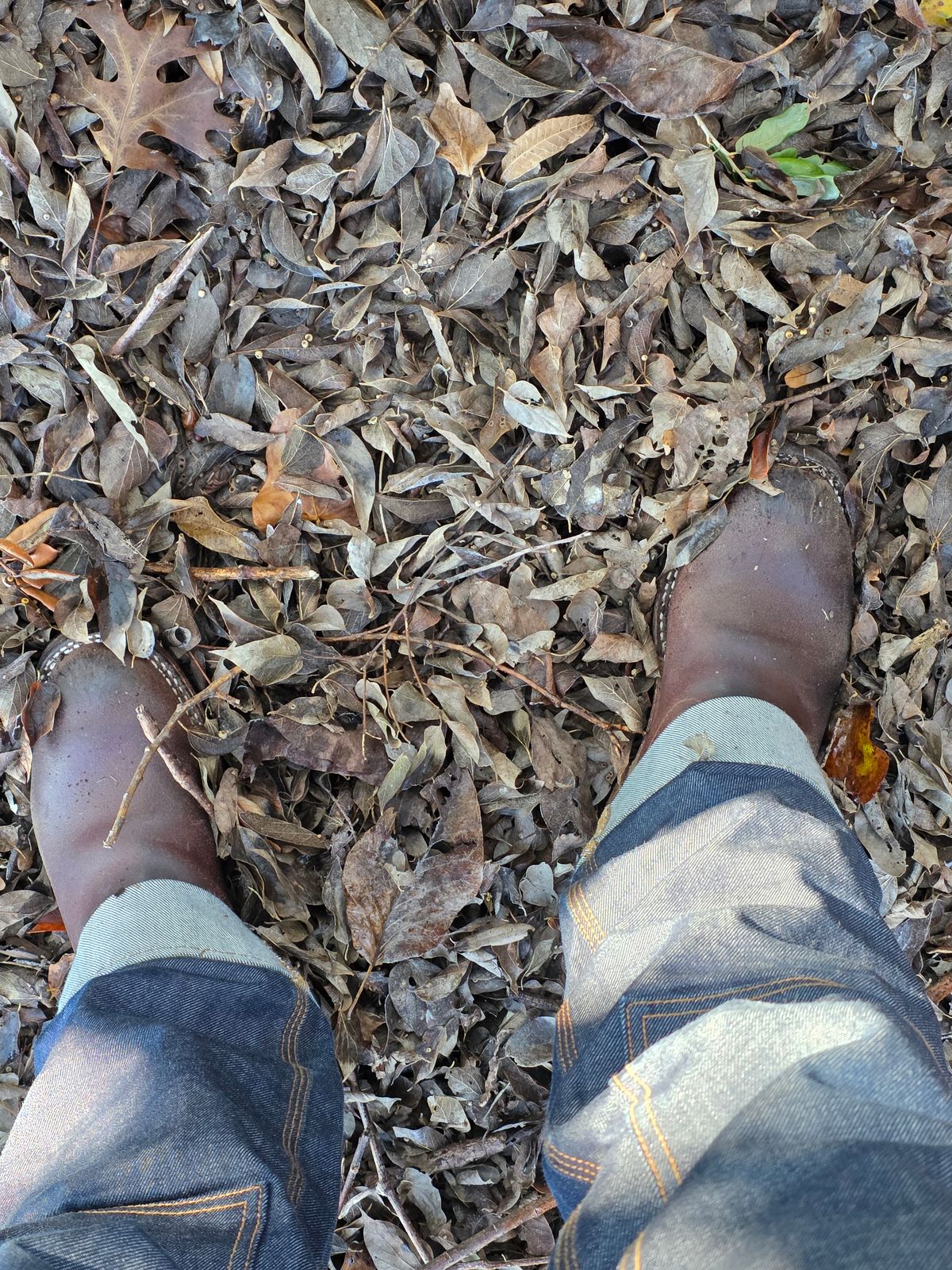 Photo by Pale_Highl1ight on December 2, 2025 of the Nicks StationMaster in Horween Tan Waxed Flesh.