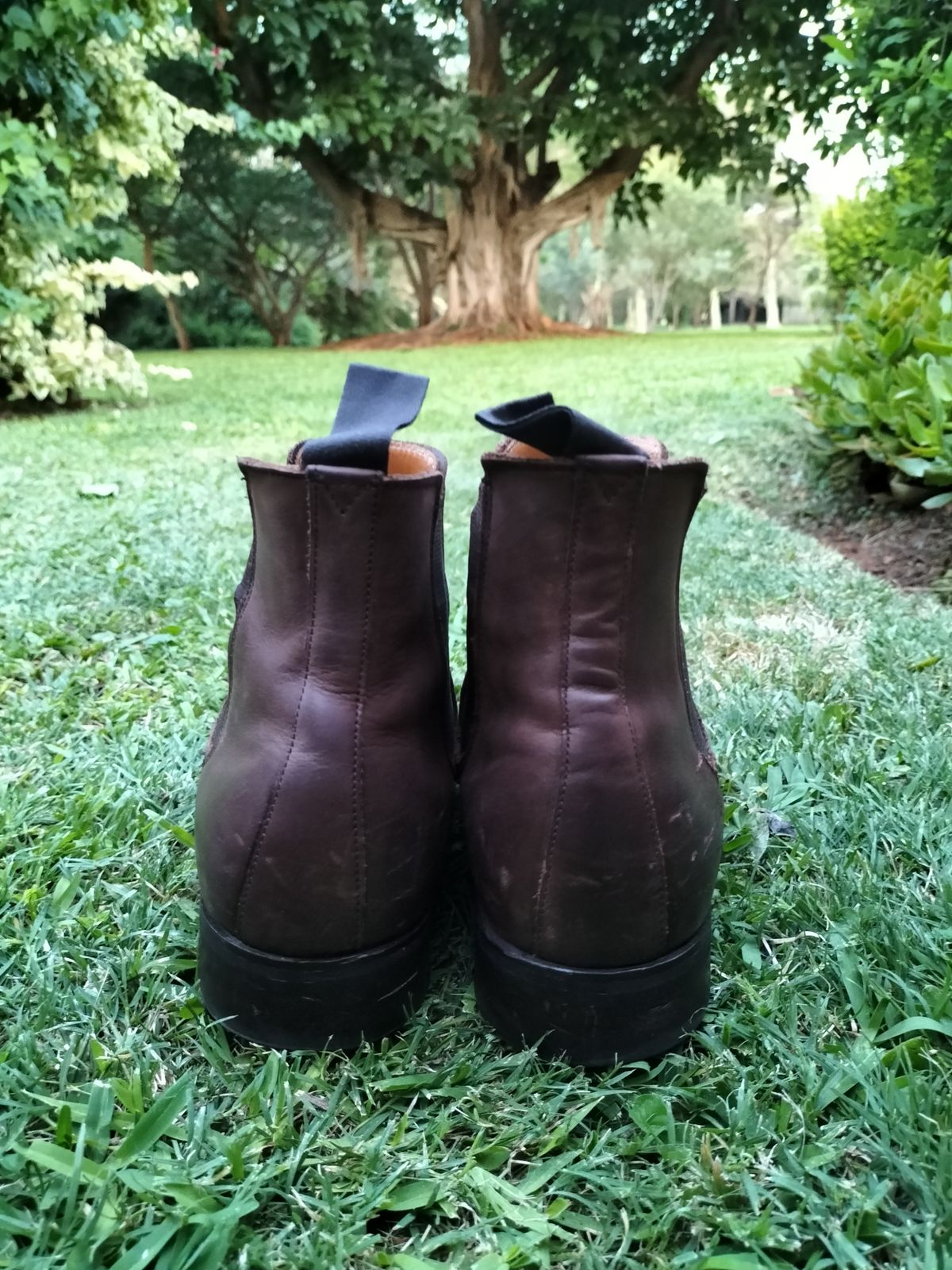 Photo by AneshM on December 2, 2022 of the Herring Wainwright Chelsea Boots in Dark Brown Calf.