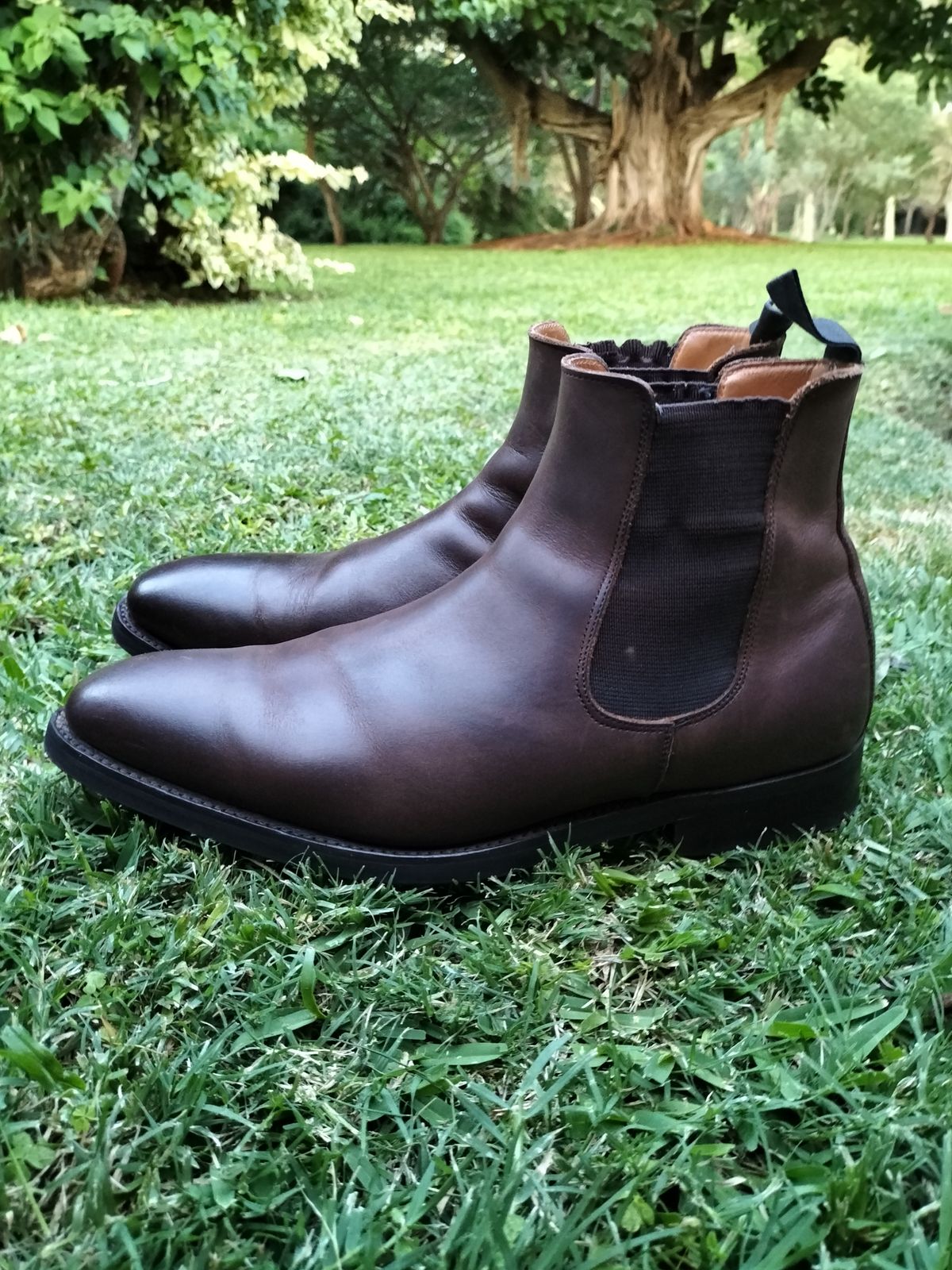 Photo by AneshM on December 2, 2022 of the Herring Wainwright Chelsea Boots in Dark Brown Calf.