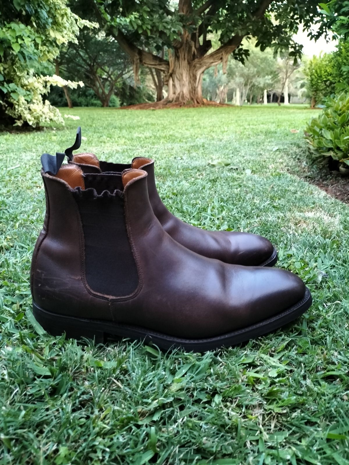 Photo by AneshM on December 2, 2022 of the Herring Wainwright Chelsea Boots in Dark Brown Calf.