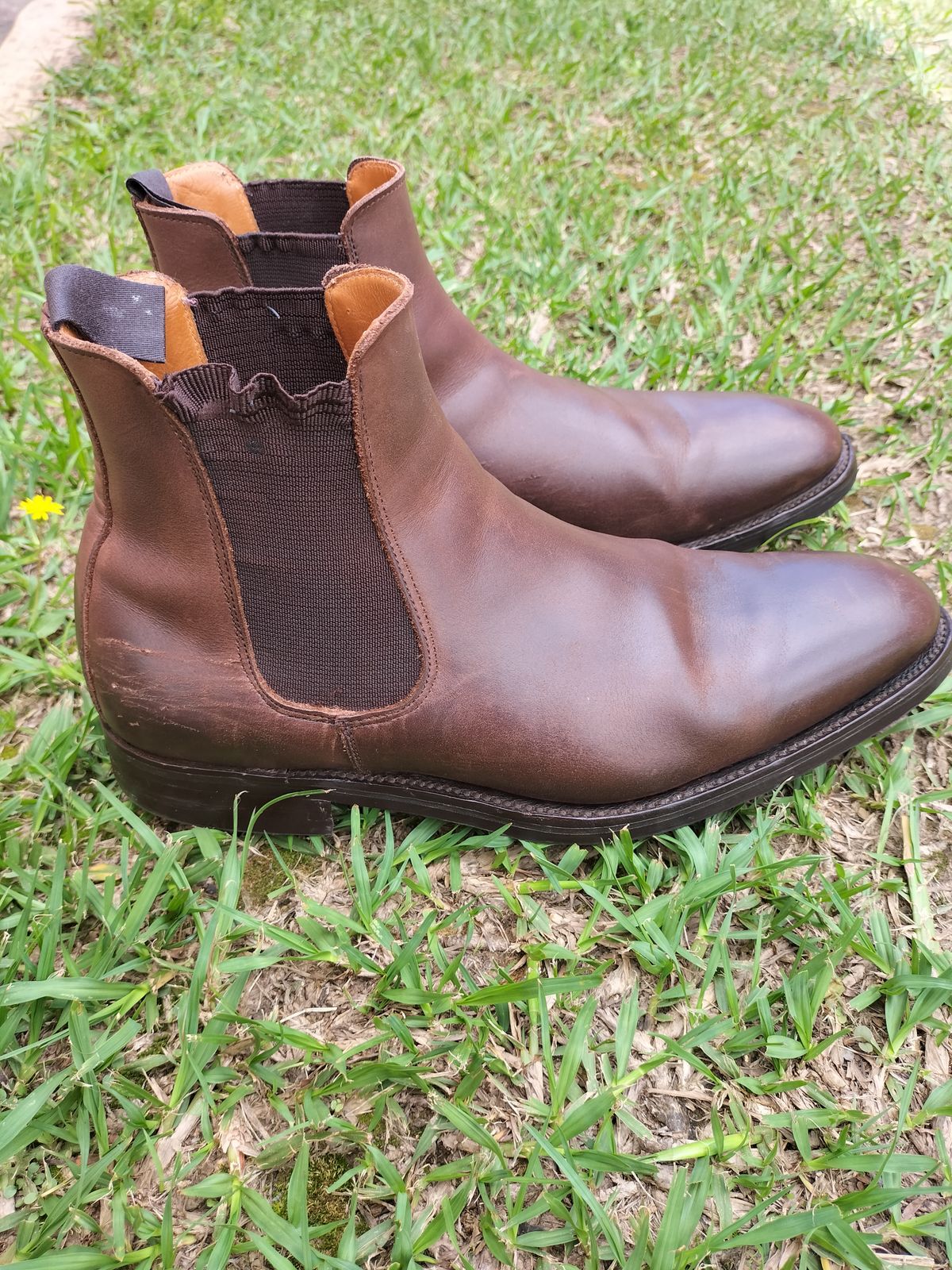 Photo by AneshM on January 2, 2023 of the Herring Wainwright Chelsea Boots in Dark Brown Calf.