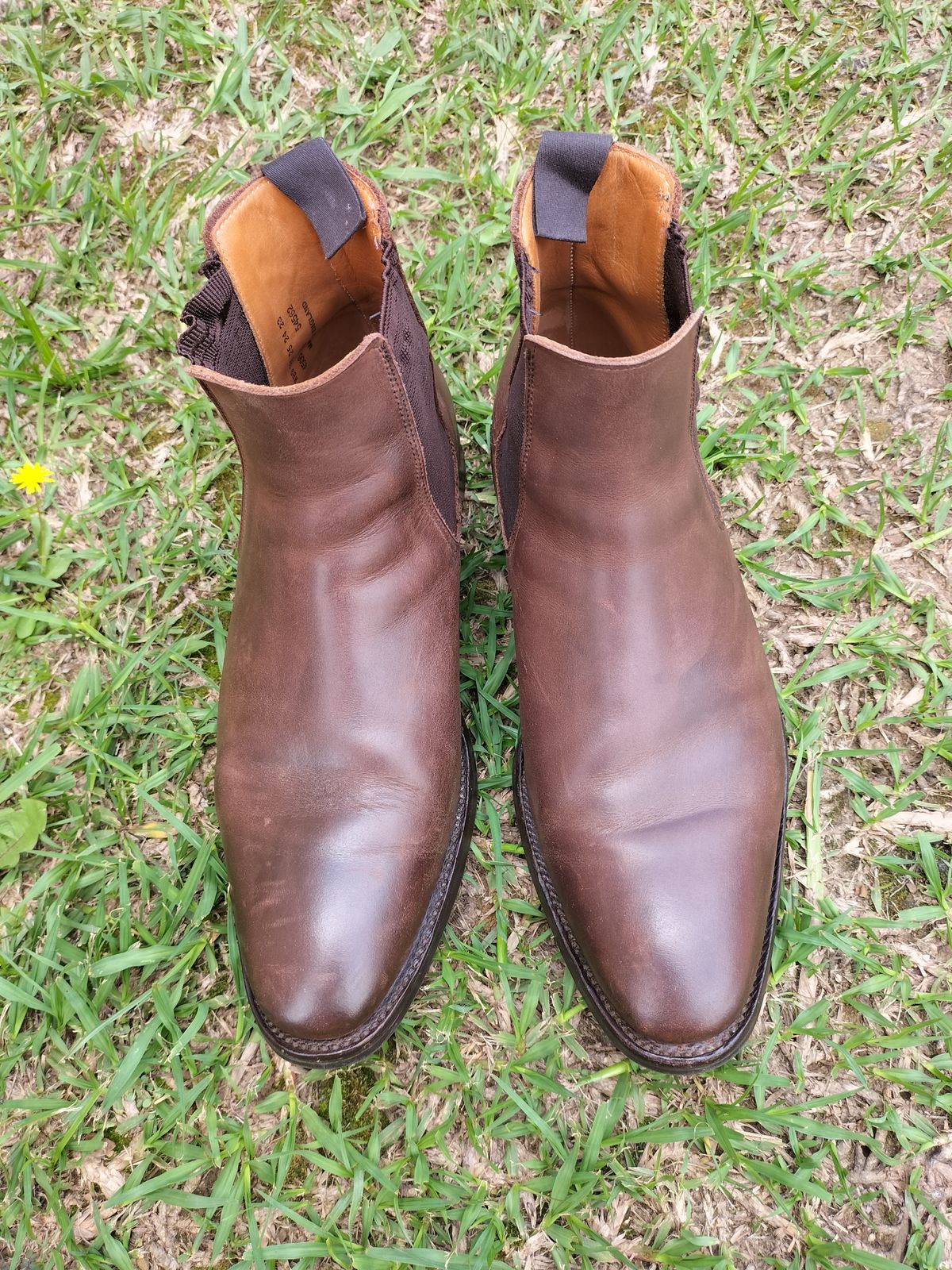 Photo by AneshM on January 2, 2023 of the Herring Wainwright Chelsea Boots in Dark Brown Calf.
