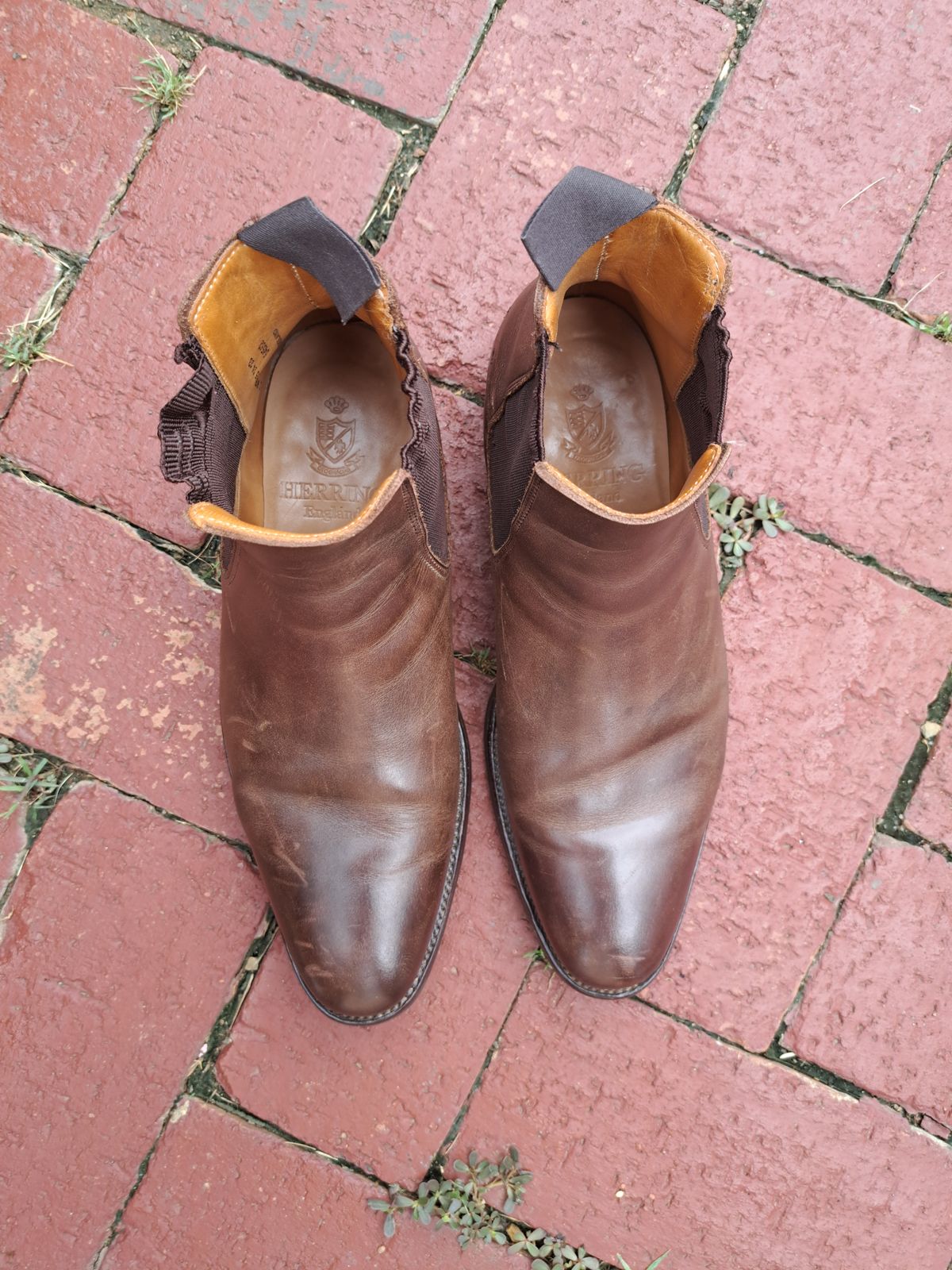 Photo by AneshM on February 1, 2023 of the Herring Wainwright Chelsea Boots in Dark Brown Calf.