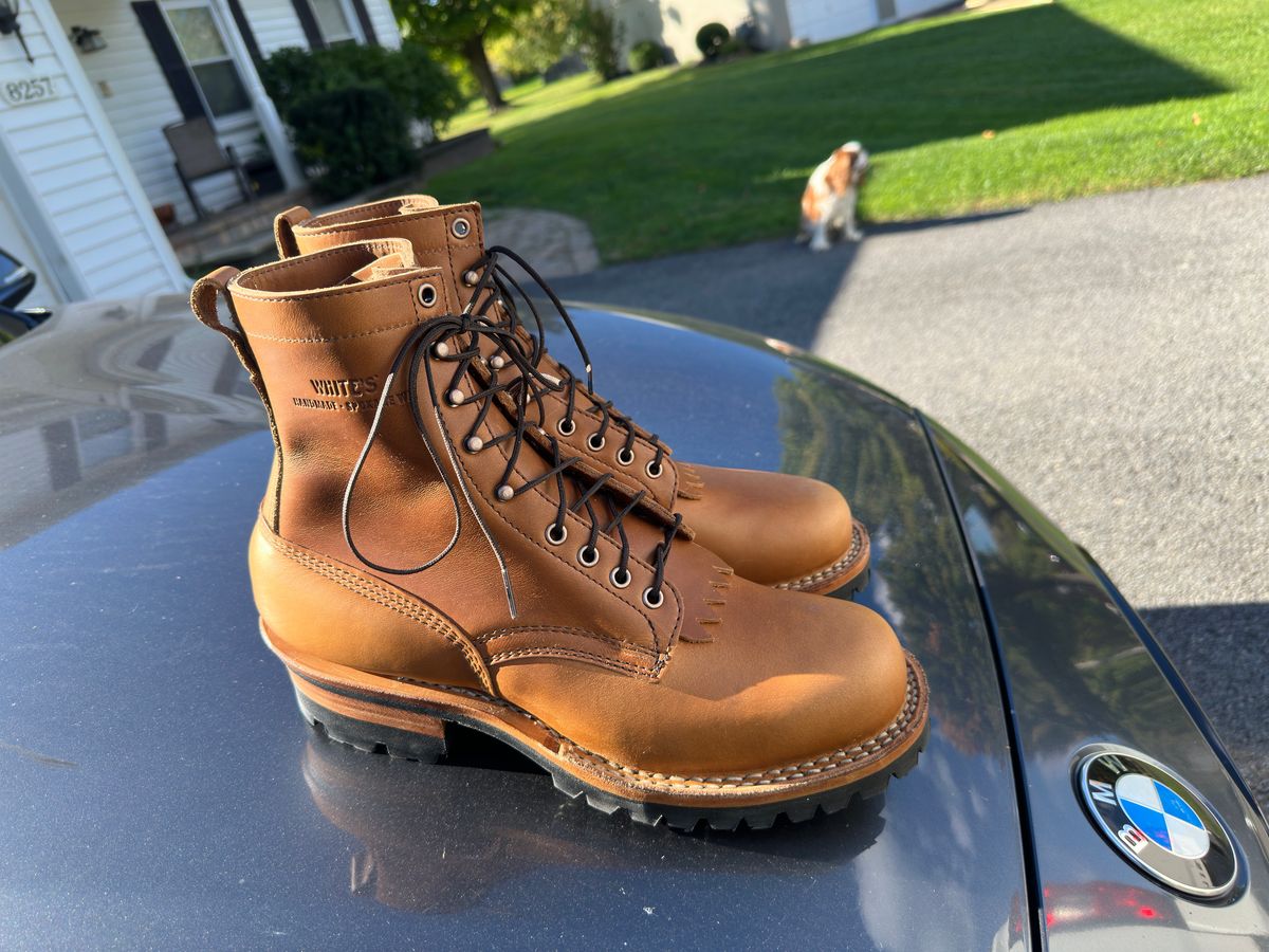 Photo by Stuville77 on October 1, 2024 of the White's C355 Logger in Seidel Natural Double Shot.