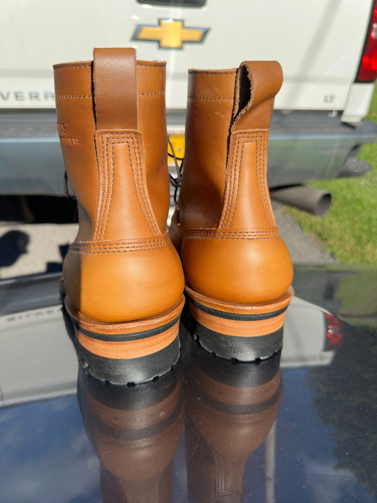 Photo by Stuville77 on October 1, 2024 of the White's C355 Logger in Seidel Natural Double Shot.