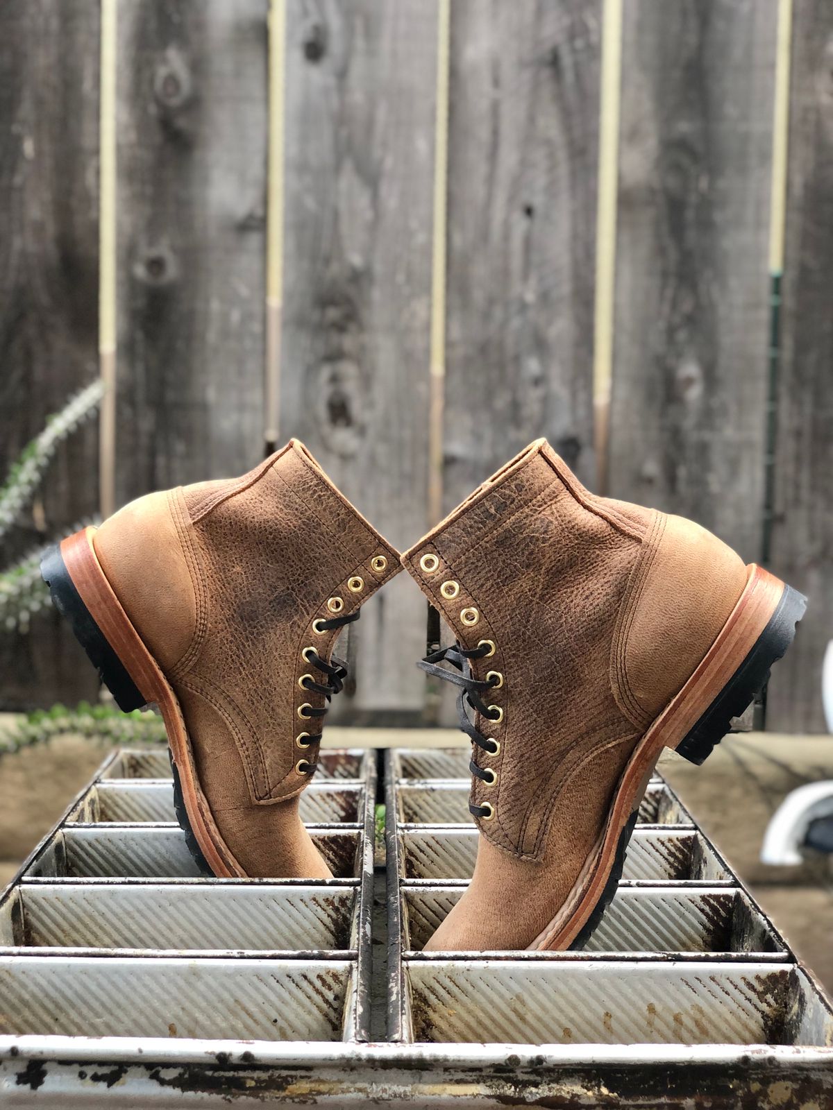 Photo by SierraLizard on October 1, 2023 of the White's MP-Sherman Plain Toe in New Rosewood Waxed Elk Unicorn.