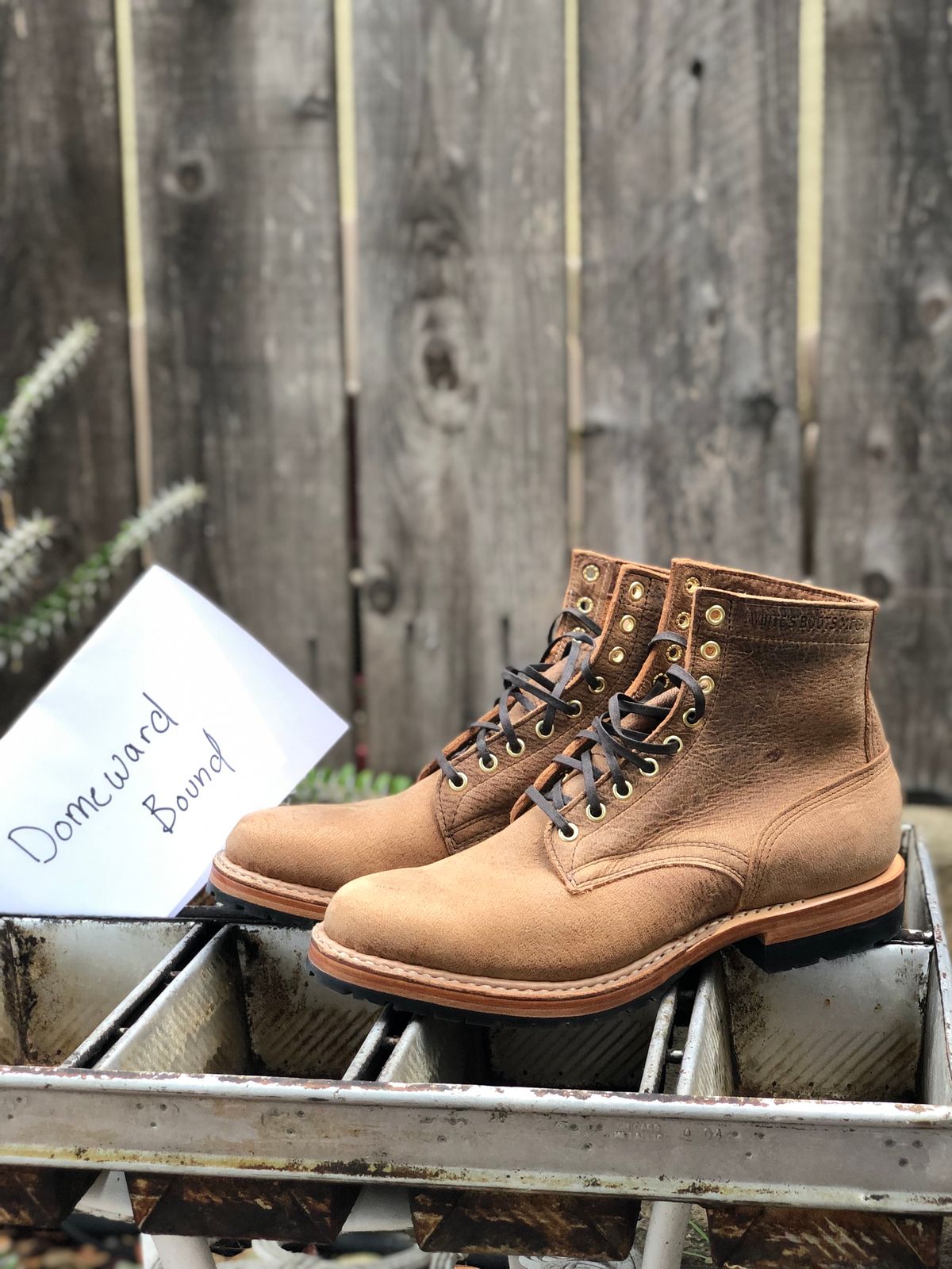 Photo by SierraLizard on October 1, 2023 of the White's MP-Sherman Plain Toe in New Rosewood Waxed Elk Unicorn.