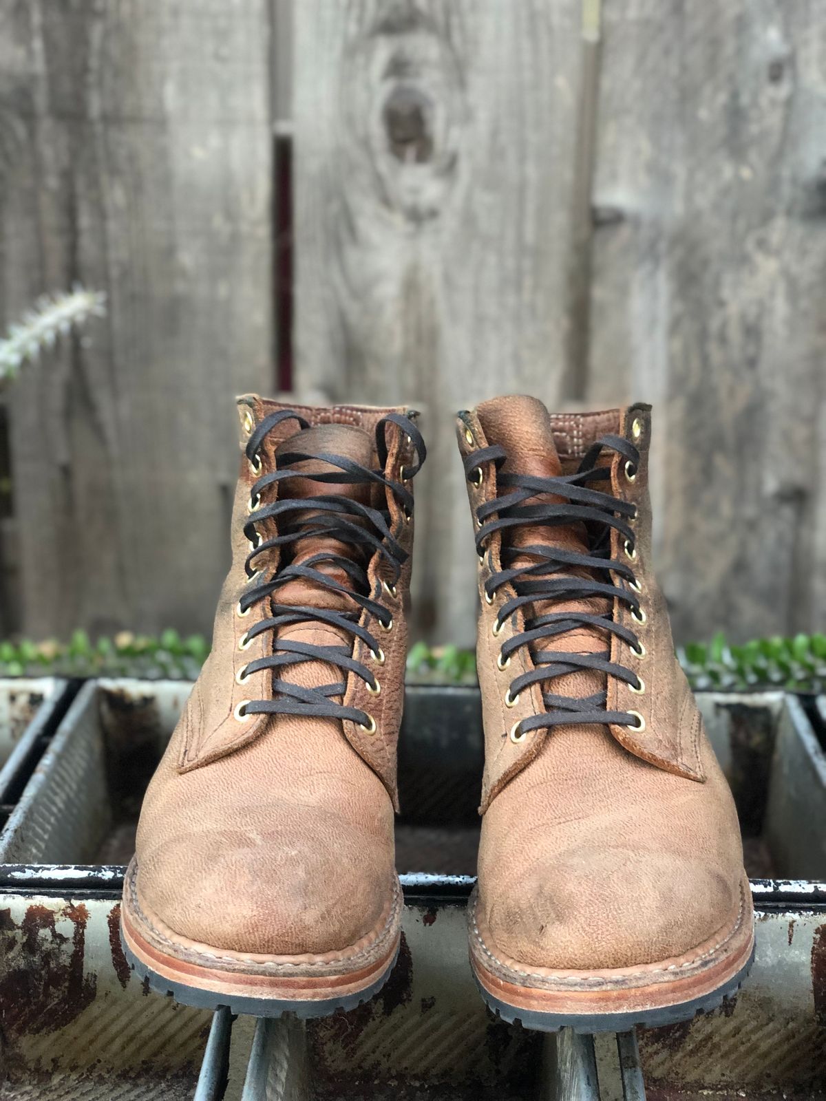 Photo by SierraLizard on November 3, 2023 of the White's MP-Sherman Plain Toe in New Rosewood Waxed Elk Unicorn.