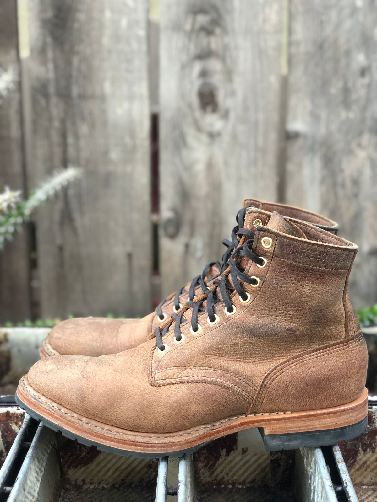 Photo by SierraLizard on November 3, 2023 of the White's MP-Sherman Plain Toe in New Rosewood Waxed Elk Unicorn.