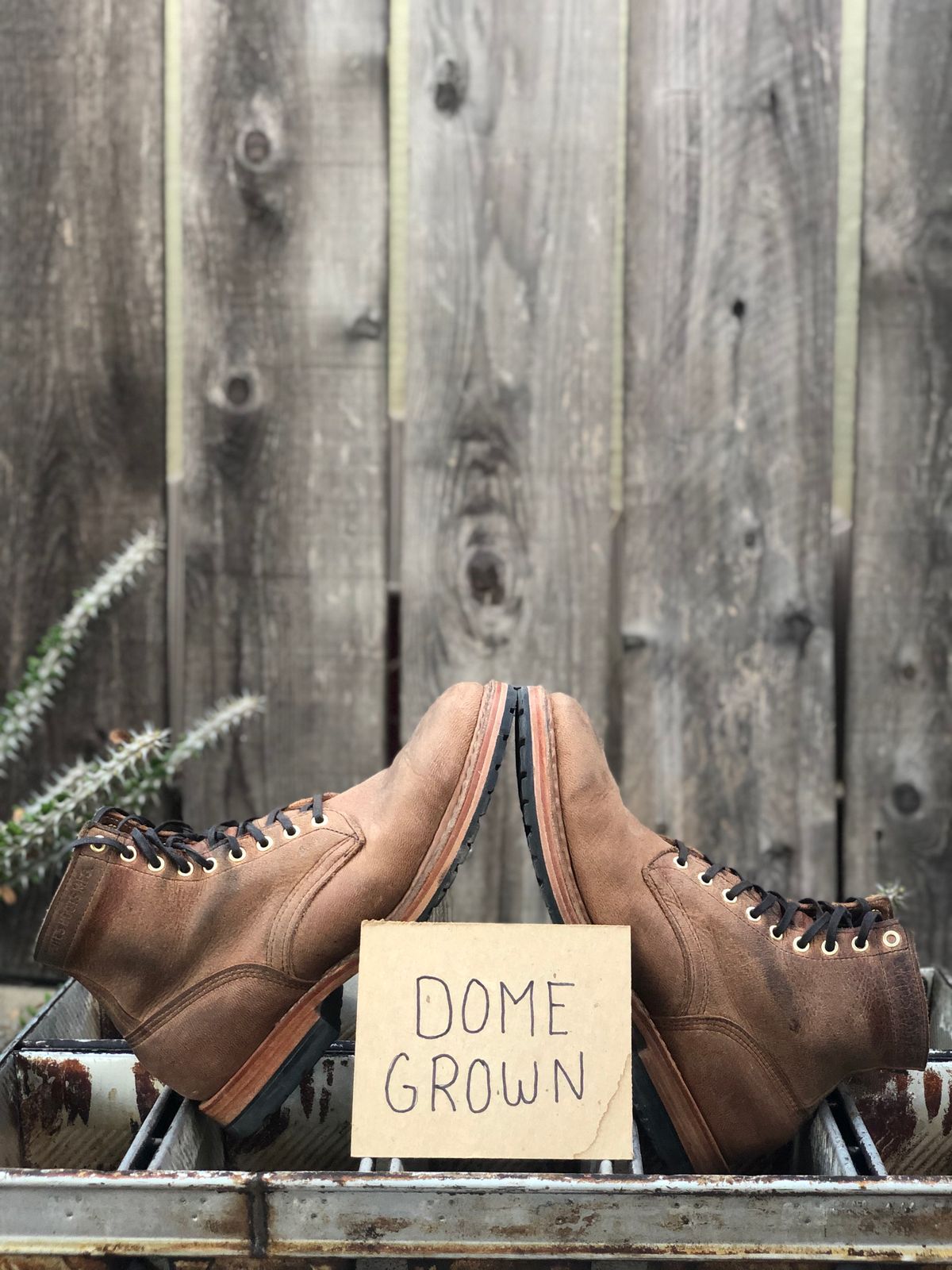 Photo by SierraLizard on November 3, 2023 of the White's MP-Sherman Plain Toe in New Rosewood Waxed Elk Unicorn.