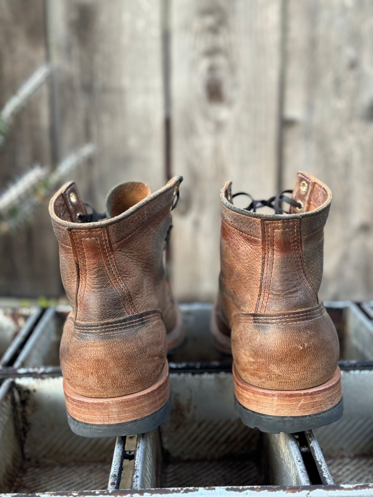 Photo by SierraLizard on December 4, 2023 of the White's MP-Sherman Plain Toe in New Rosewood Waxed Elk Unicorn.