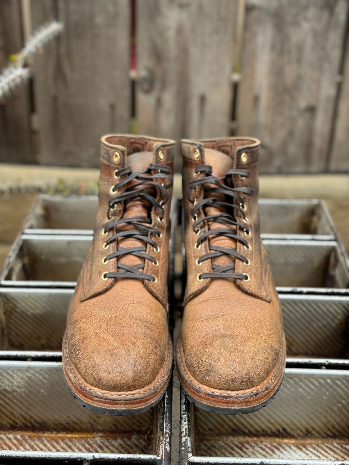 Photo by SierraLizard on January 2, 2024 of the White's MP-Sherman Plain Toe in New Rosewood Waxed Elk Unicorn.