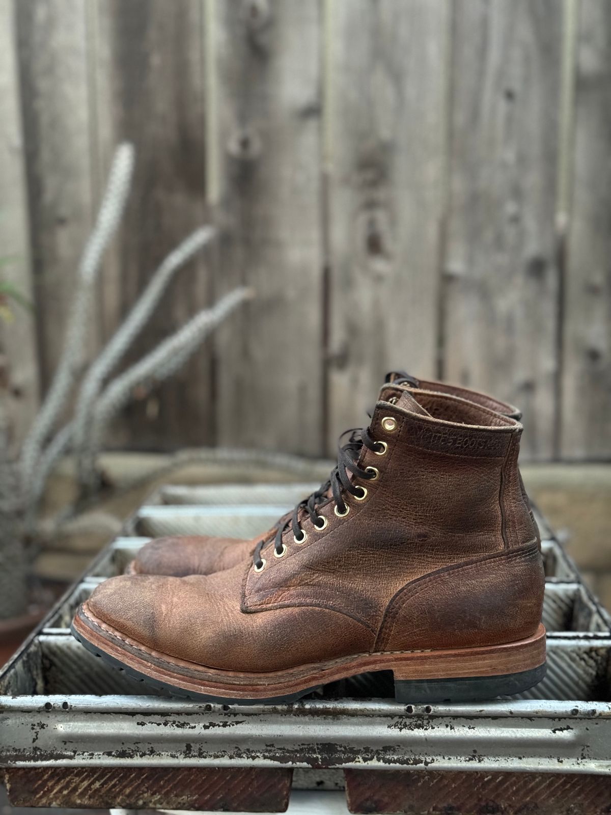 Photo by SierraLizard on February 2, 2024 of the White's MP-Sherman Plain Toe in New Rosewood Waxed Elk Unicorn.