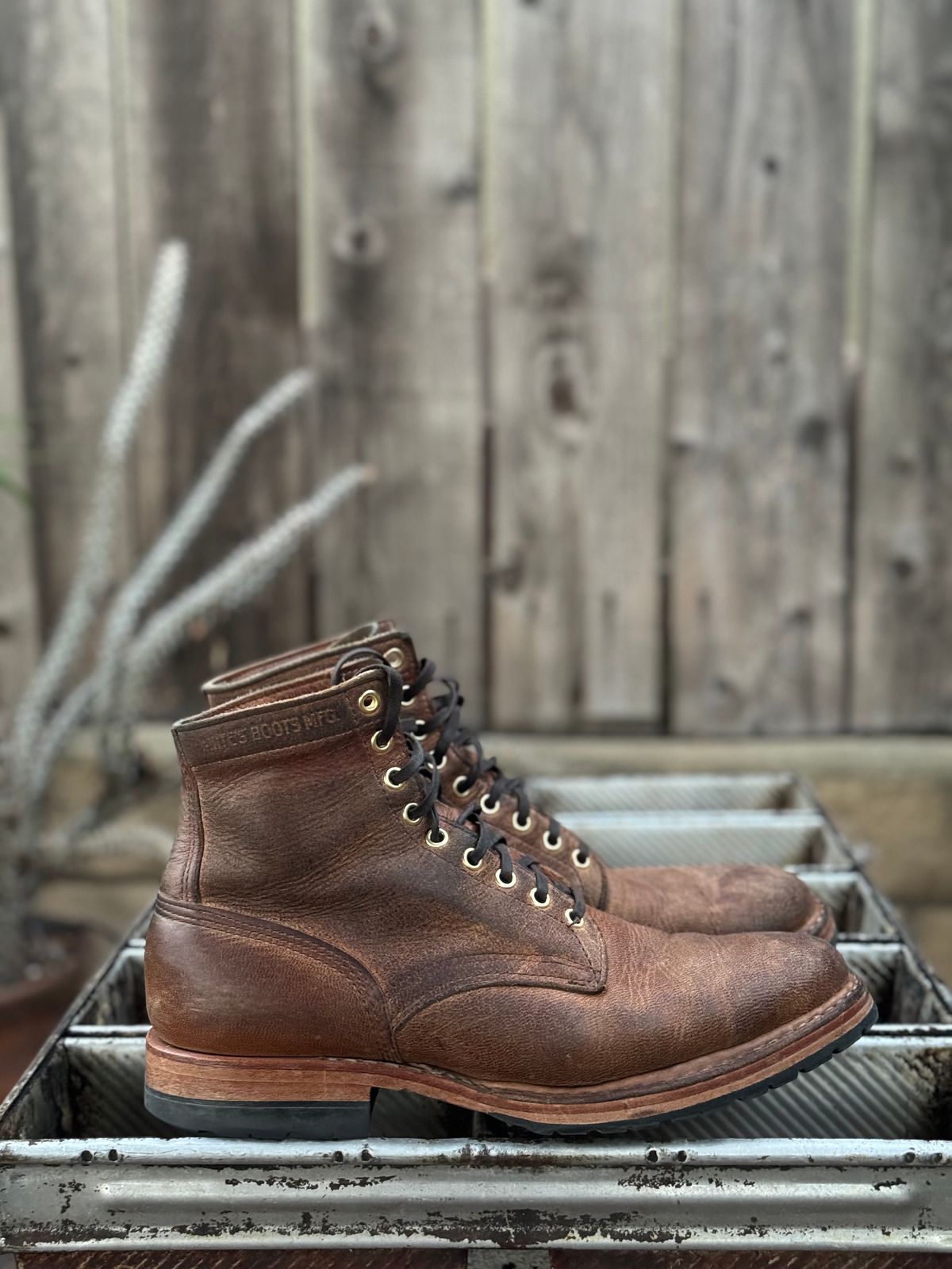 Photo by SierraLizard on February 2, 2024 of the White's MP-Sherman Plain Toe in New Rosewood Waxed Elk Unicorn.