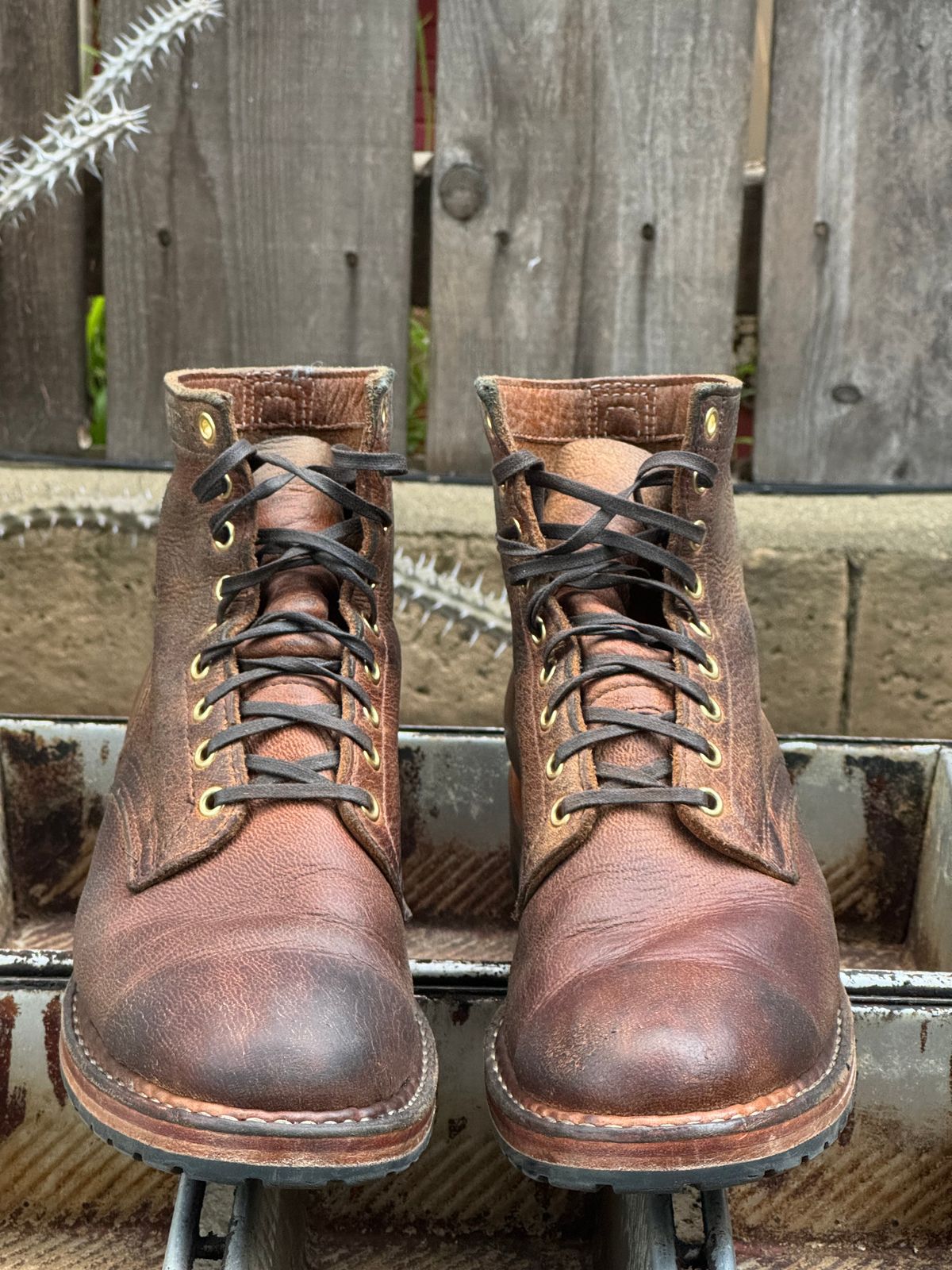 Photo by SierraLizard on April 4, 2024 of the White's MP-Sherman Plain Toe in New Rosewood Waxed Elk Unicorn.