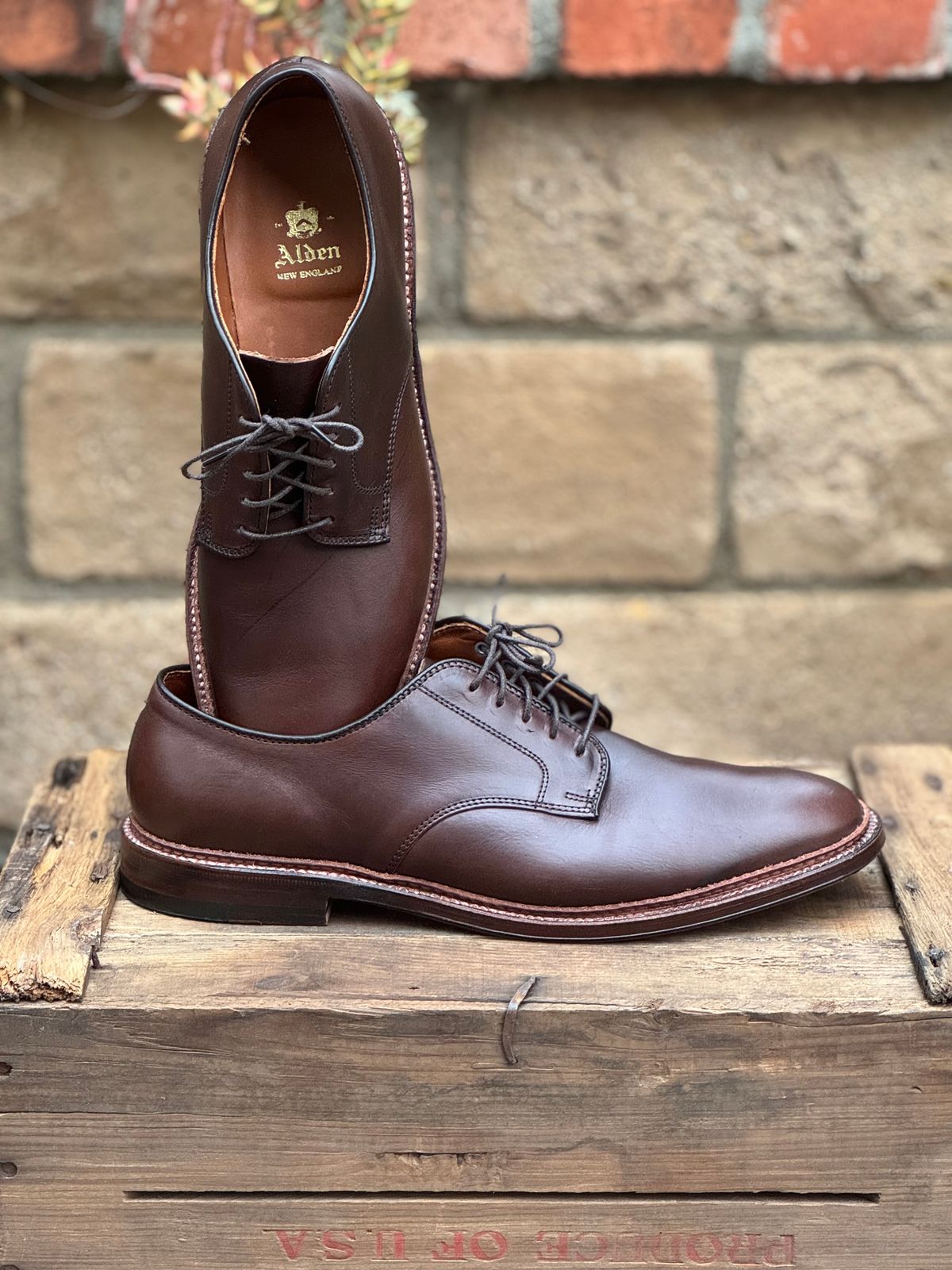 Photo by SierraLizard on October 6, 2024 of the Alden Plain Toe Blucher in Horween Brown Chromexcel.