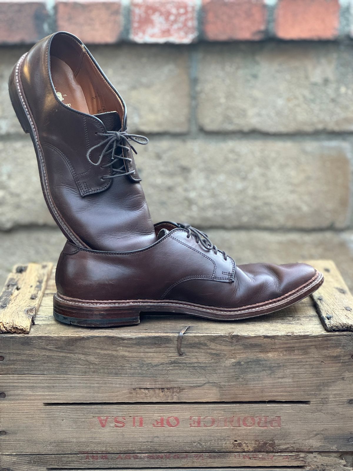 Photo by SierraLizard on November 4, 2024 of the Alden Plain Toe Blucher in Horween Brown Chromexcel.