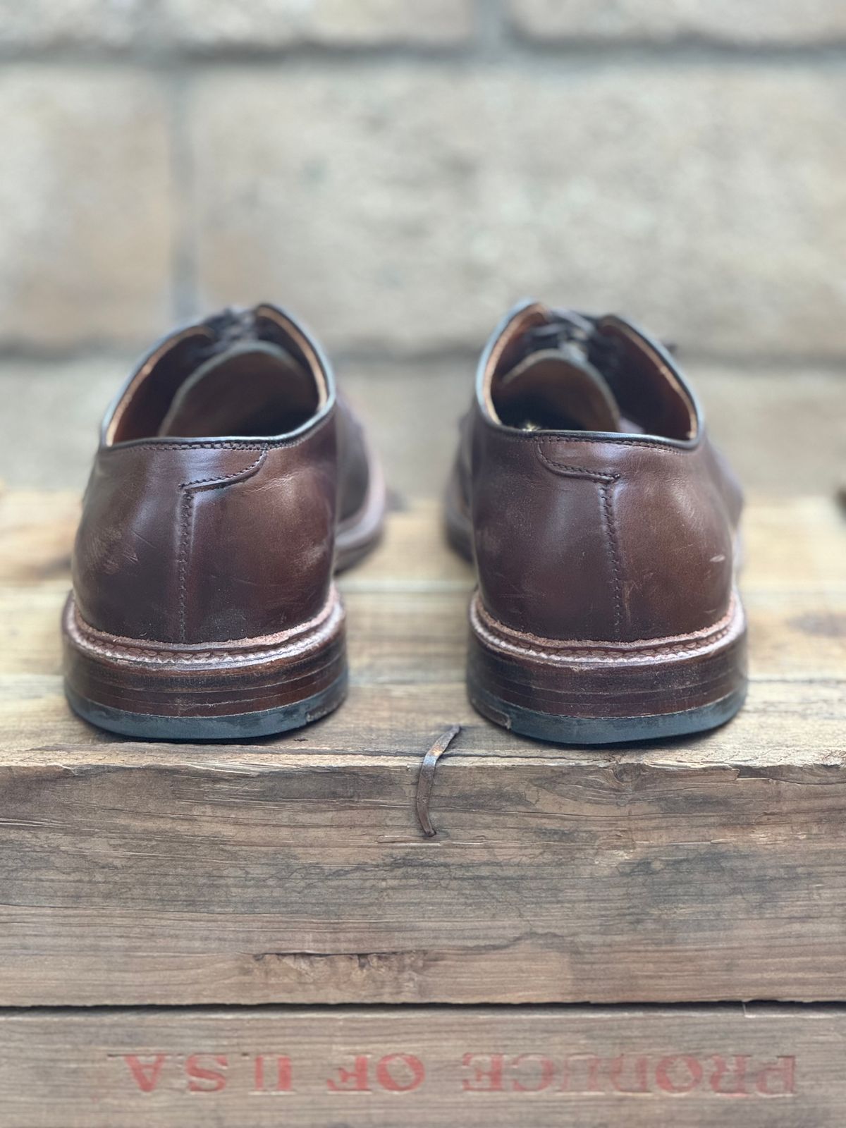 Photo by SierraLizard on November 4, 2024 of the Alden Plain Toe Blucher in Horween Brown Chromexcel.