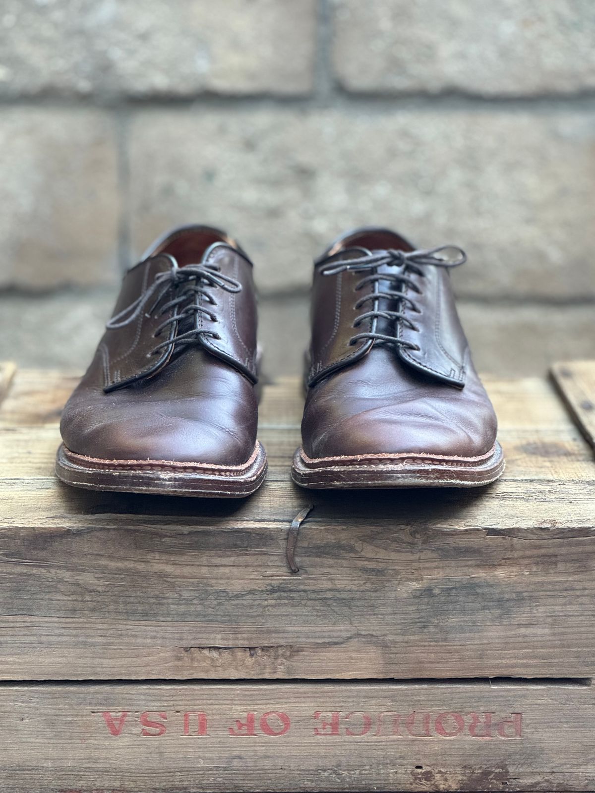 Photo by SierraLizard on November 4, 2024 of the Alden Plain Toe Blucher in Horween Brown Chromexcel.