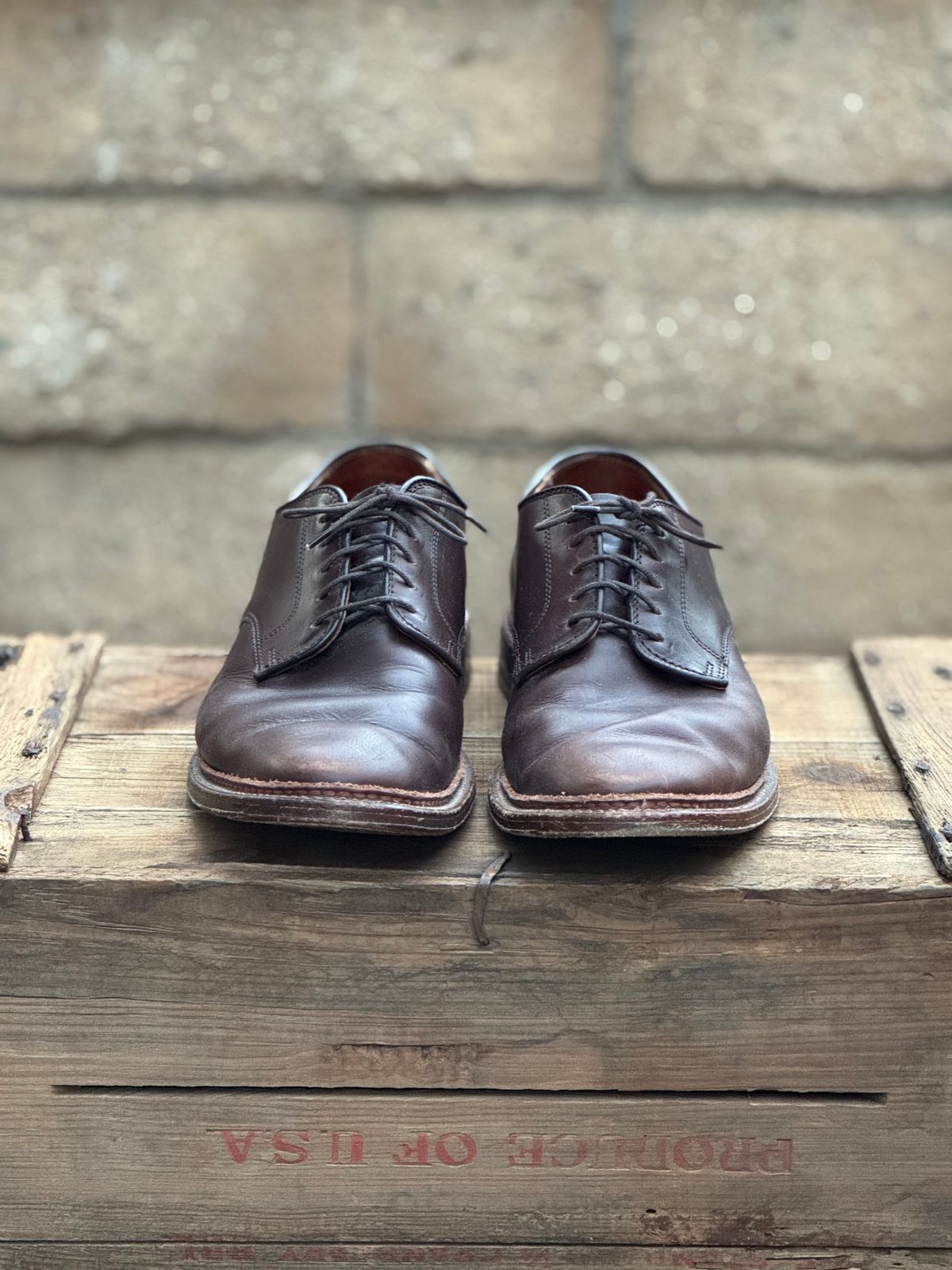 Photo by SierraLizard on December 4, 2024 of the Alden Plain Toe Blucher in Horween Brown Chromexcel.