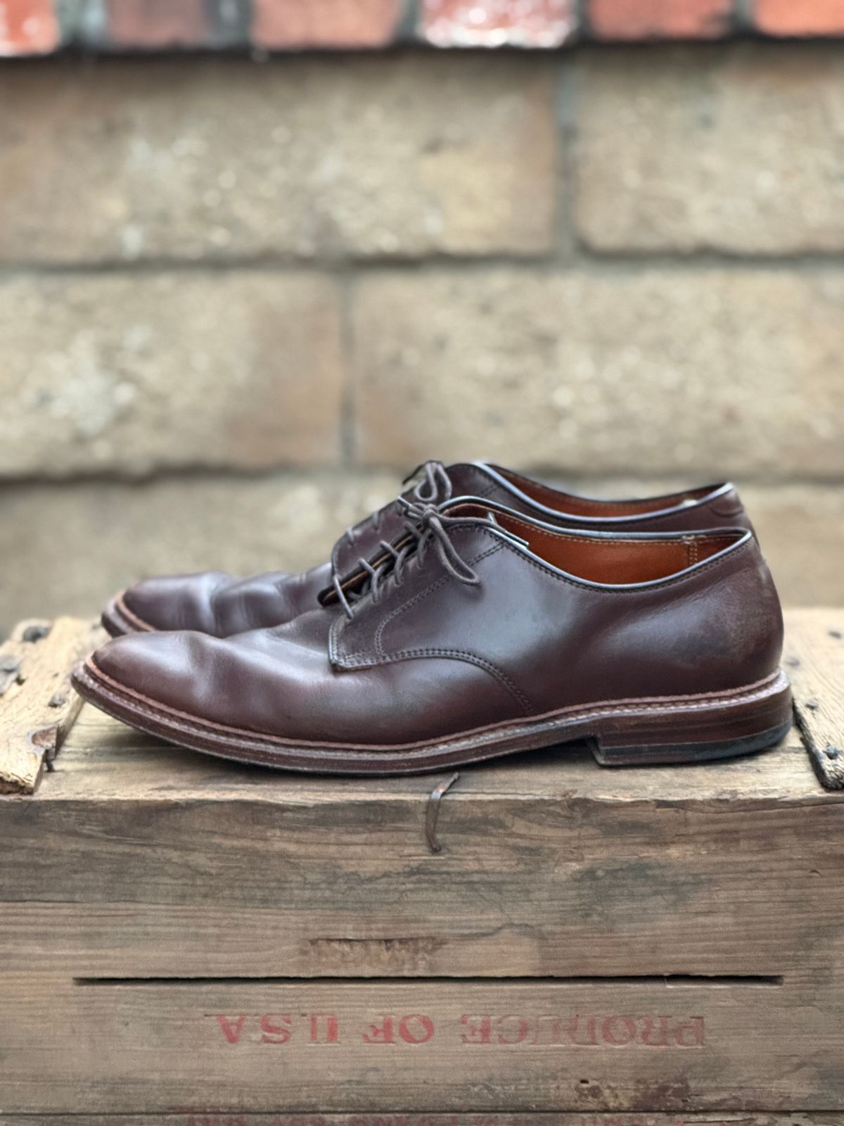 Photo by SierraLizard on December 4, 2024 of the Alden Plain Toe Blucher in Horween Brown Chromexcel.