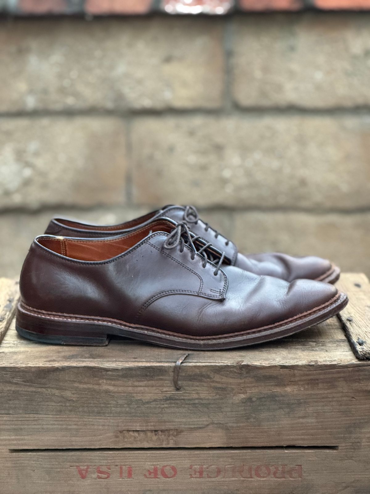 Photo by SierraLizard on December 4, 2024 of the Alden Plain Toe Blucher in Horween Brown Chromexcel.