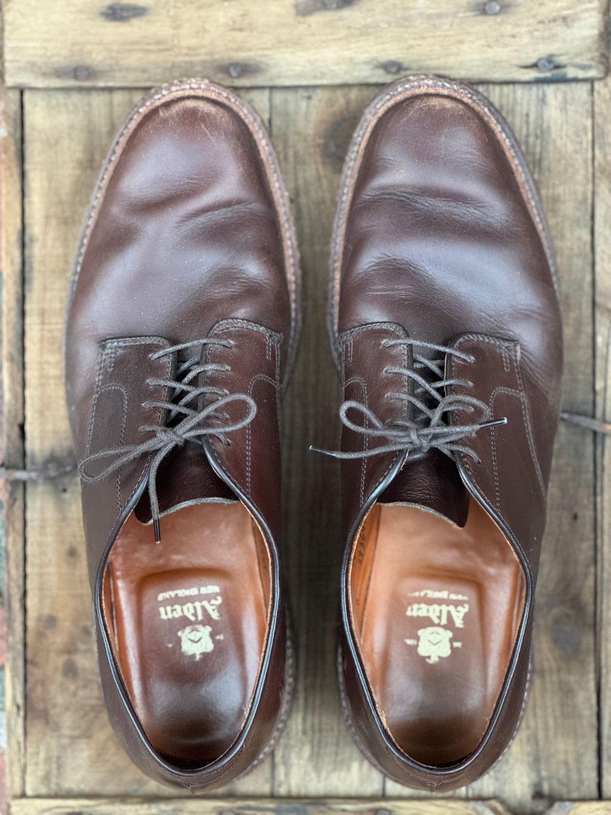 Photo by SierraLizard on December 4, 2024 of the Alden Plain Toe Blucher in Horween Brown Chromexcel.