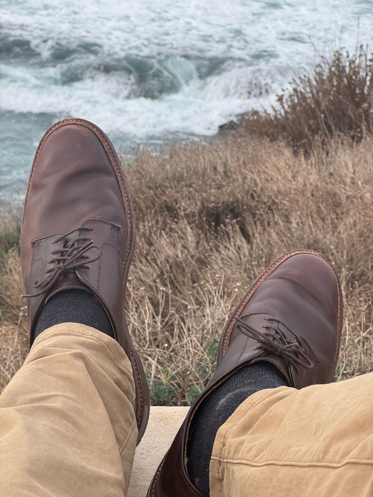 Photo by SierraLizard on January 4, 2025 of the Alden Plain Toe Blucher in Horween Brown Chromexcel.