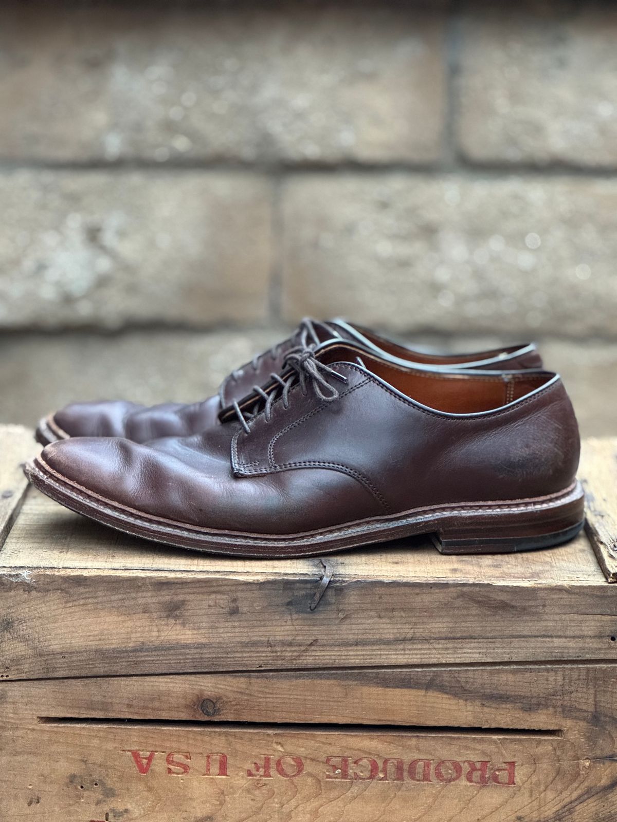 Photo by SierraLizard on January 4, 2025 of the Alden Plain Toe Blucher in Horween Brown Chromexcel.