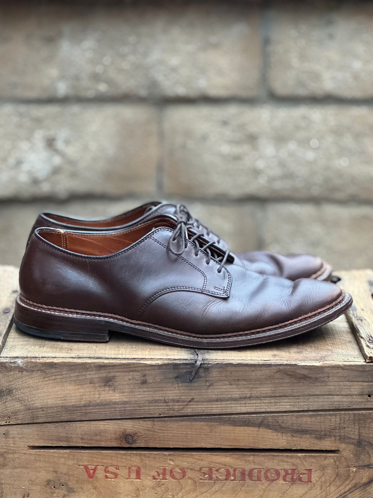 Photo by SierraLizard on January 4, 2025 of the Alden Plain Toe Blucher in Horween Brown Chromexcel.