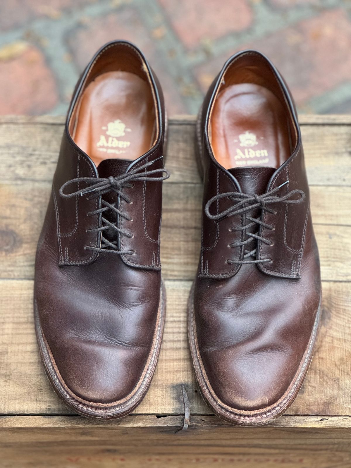 Photo by SierraLizard on January 4, 2025 of the Alden Plain Toe Blucher in Horween Brown Chromexcel.