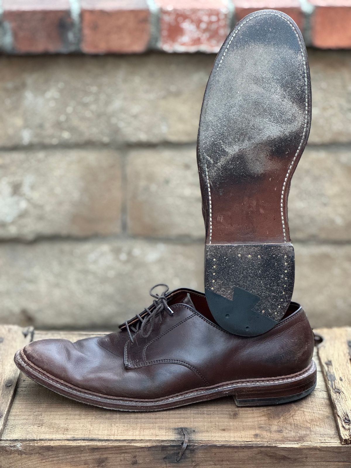 Photo by SierraLizard on February 3, 2025 of the Alden Plain Toe Blucher in Horween Brown Chromexcel.