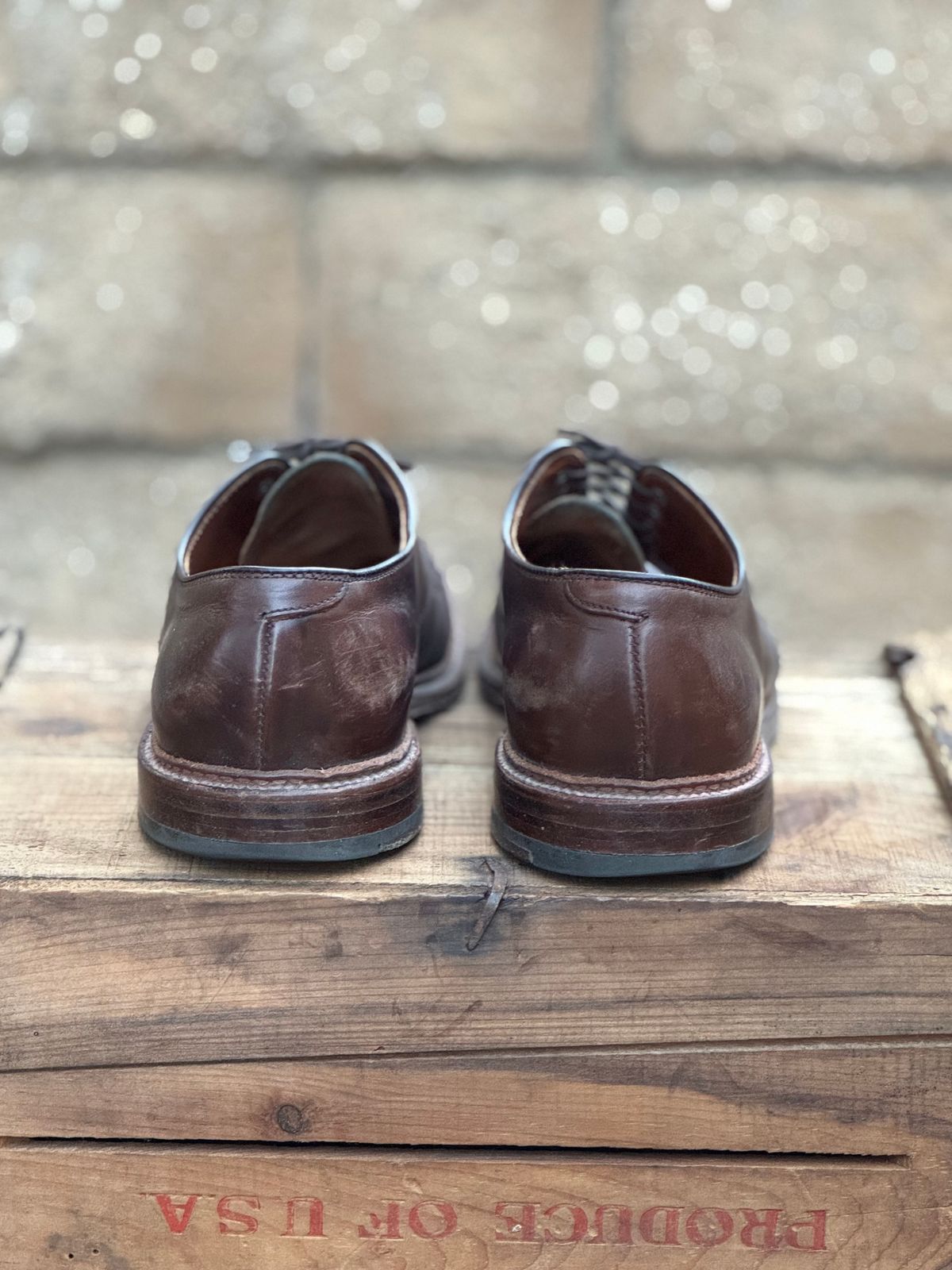 Photo by SierraLizard on February 3, 2025 of the Alden Plain Toe Blucher in Horween Brown Chromexcel.